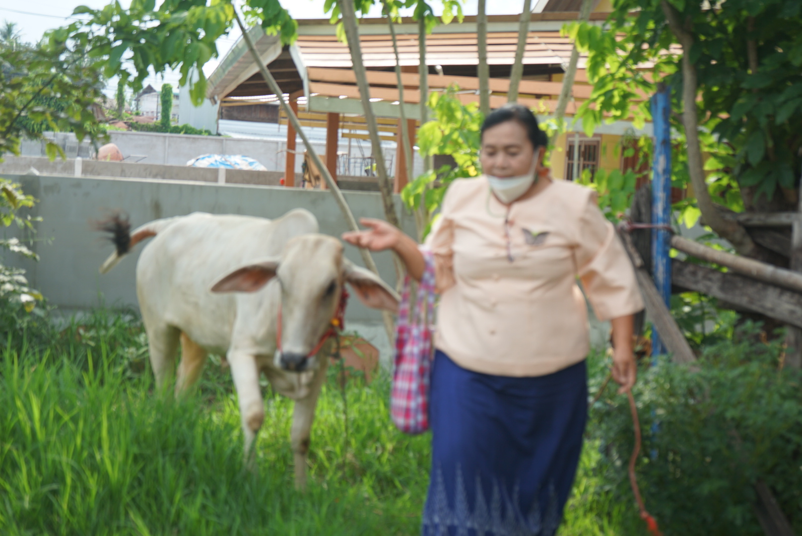 พช.หนองคาย ดำเนินการคัดเลือกคนกองทุนพัฒนาบทบาทสตรีดีเด่น ระดับจังหวัด ประจำปี 2565