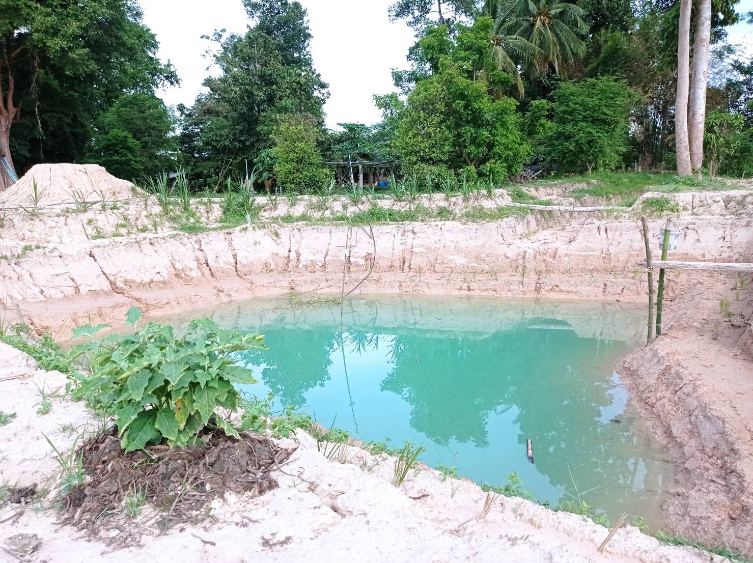 จังหวัดหนองคาย คัดสรรกิจกรรมพัฒนาชุมชนดีเด่น ประจำปี 2565