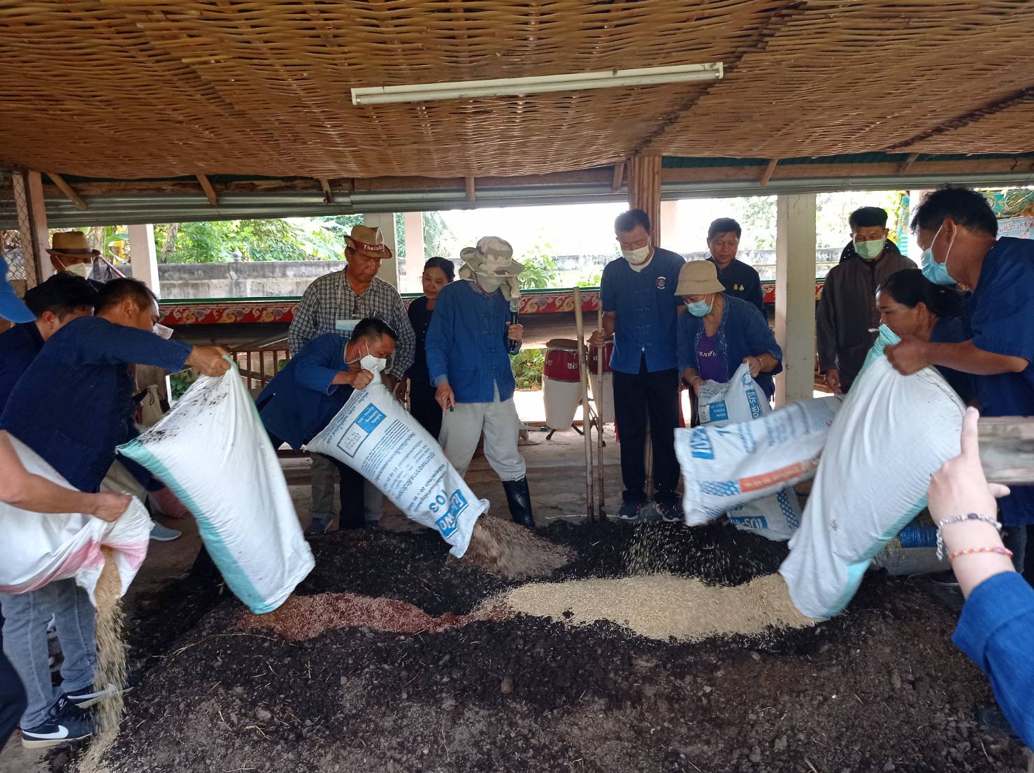 พช.หนองคาย ฝึกปฏิบัติการสร้างความมั่นคงทางอาหาร ในพื้นที่ 30 ตารางวา เรียนรู้การใช้พื้นที่ที่มีอย่างจำกัดให้เกิดประโยชน์สูงสุด ในการสร้างความมั่นคงทางอาหารให้กับครัวเรือน