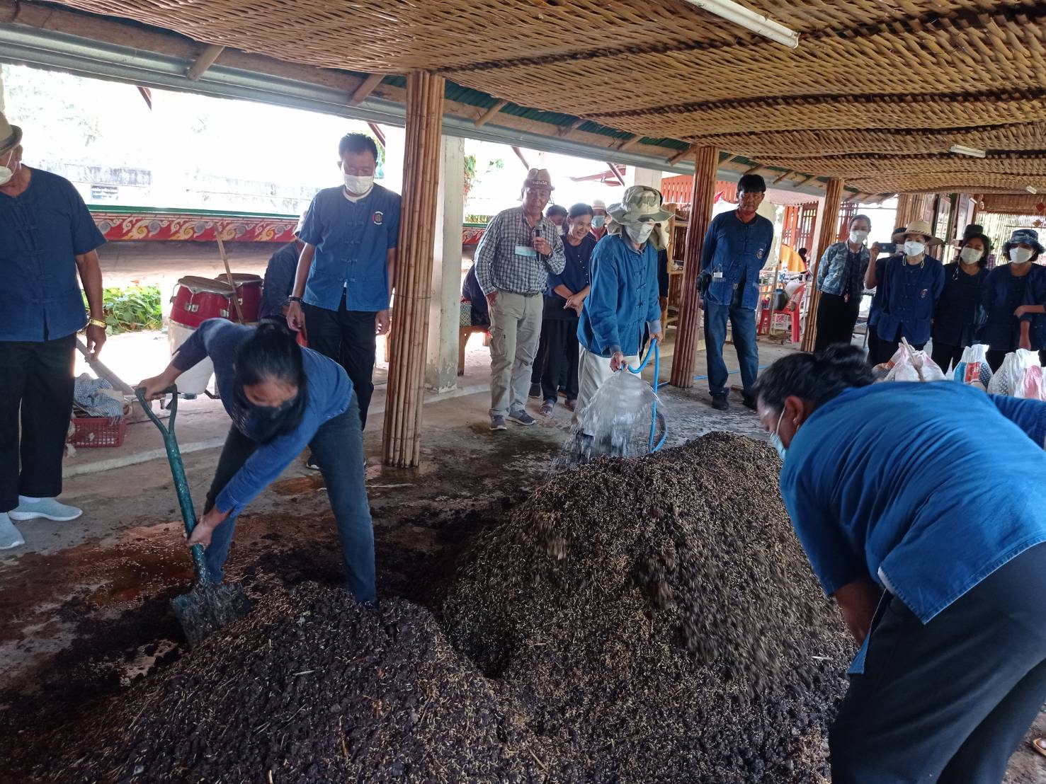 พช.หนองคาย ฝึกปฏิบัติการสร้างความมั่นคงทางอาหาร ในพื้นที่ 30 ตารางวา เรียนรู้การใช้พื้นที่ที่มีอย่างจำกัดให้เกิดประโยชน์สูงสุด ในการสร้างความมั่นคงทางอาหารให้กับครัวเรือน