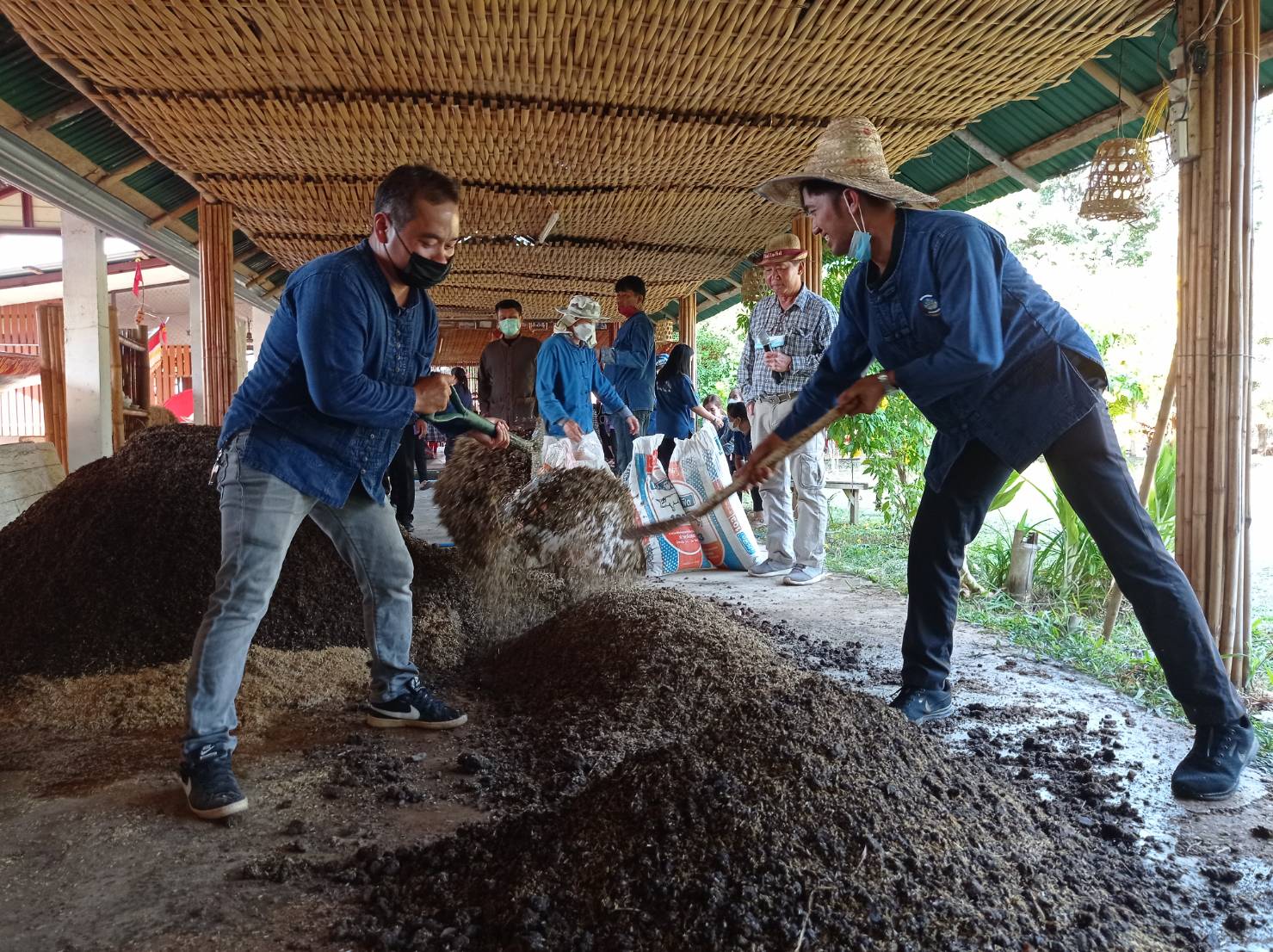 พช.หนองคาย ฝึกปฏิบัติการสร้างความมั่นคงทางอาหาร ในพื้นที่ 30 ตารางวา เรียนรู้การใช้พื้นที่ที่มีอย่างจำกัดให้เกิดประโยชน์สูงสุด ในการสร้างความมั่นคงทางอาหารให้กับครัวเรือน