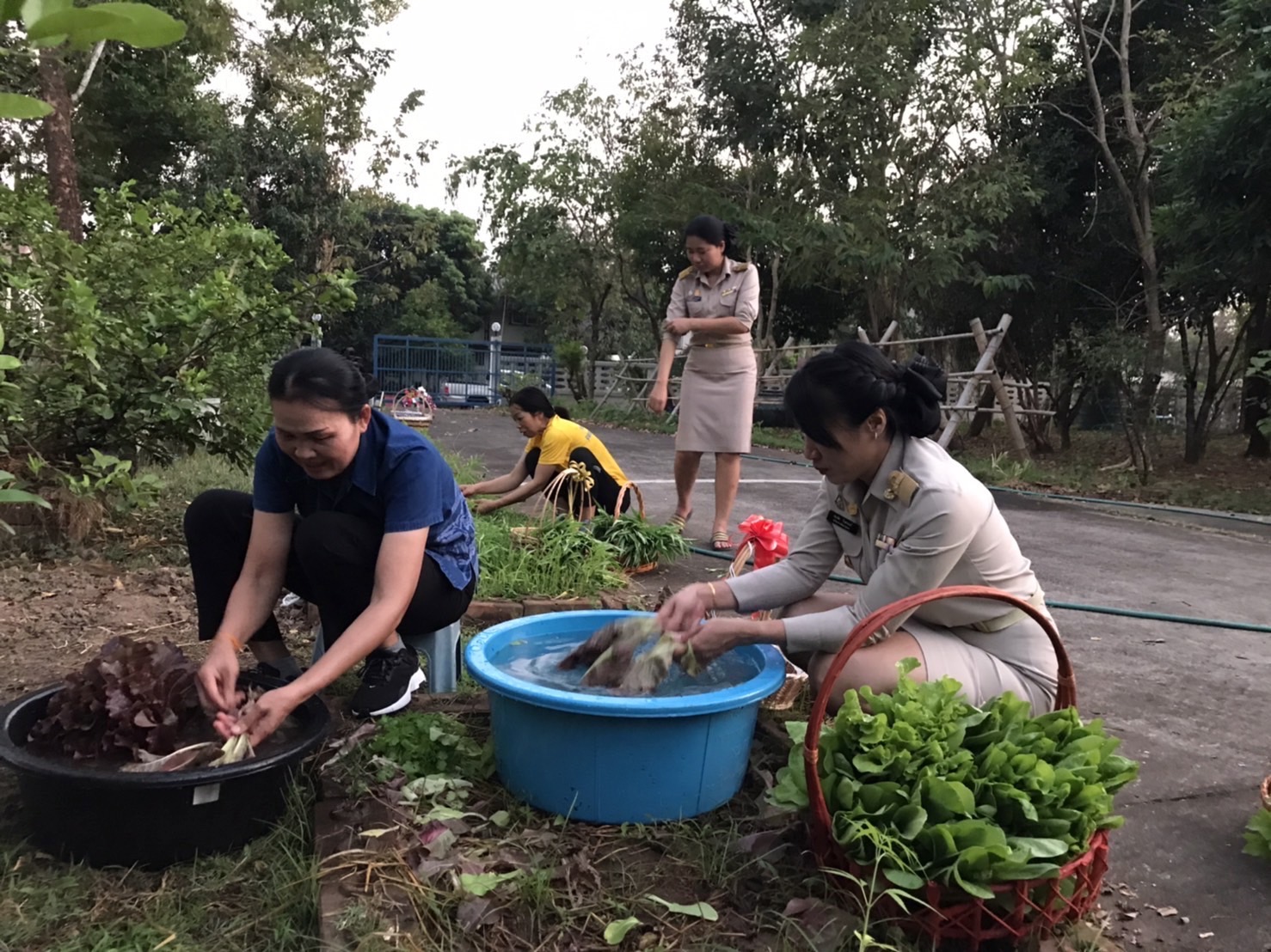 พช.หนองคาย ดำเนินกิจกรรมตามโครงการบ้านนี้มีรักปลูกผักกินเอง
