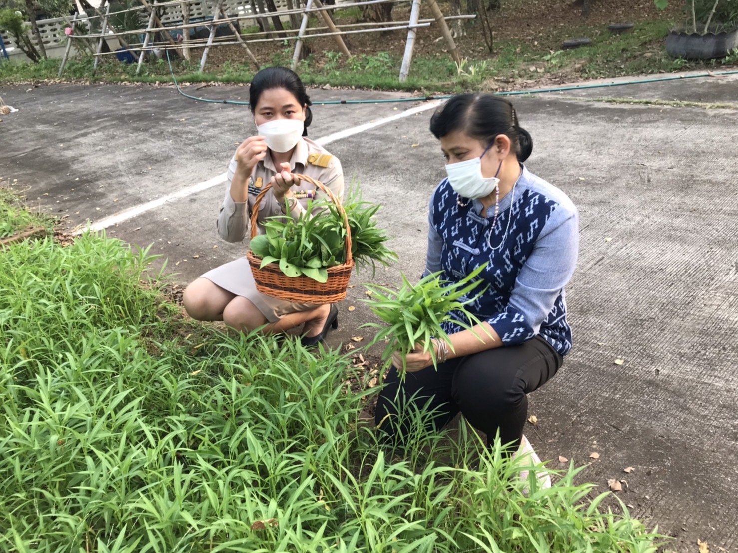 พช.หนองคาย ดำเนินกิจกรรมตามโครงการบ้านนี้มีรักปลูกผักกินเอง