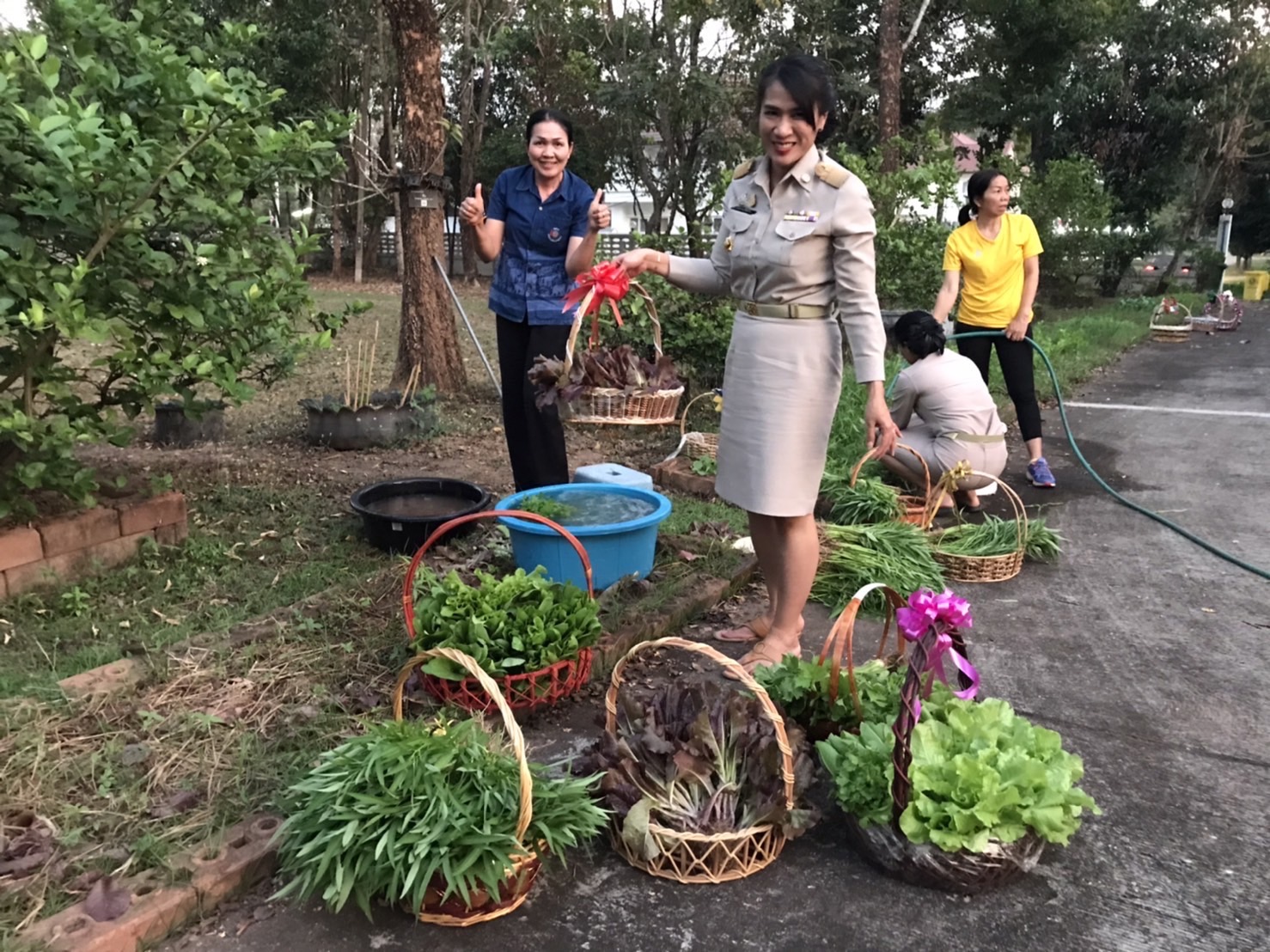 พช.หนองคาย ดำเนินกิจกรรมตามโครงการบ้านนี้มีรักปลูกผักกินเอง