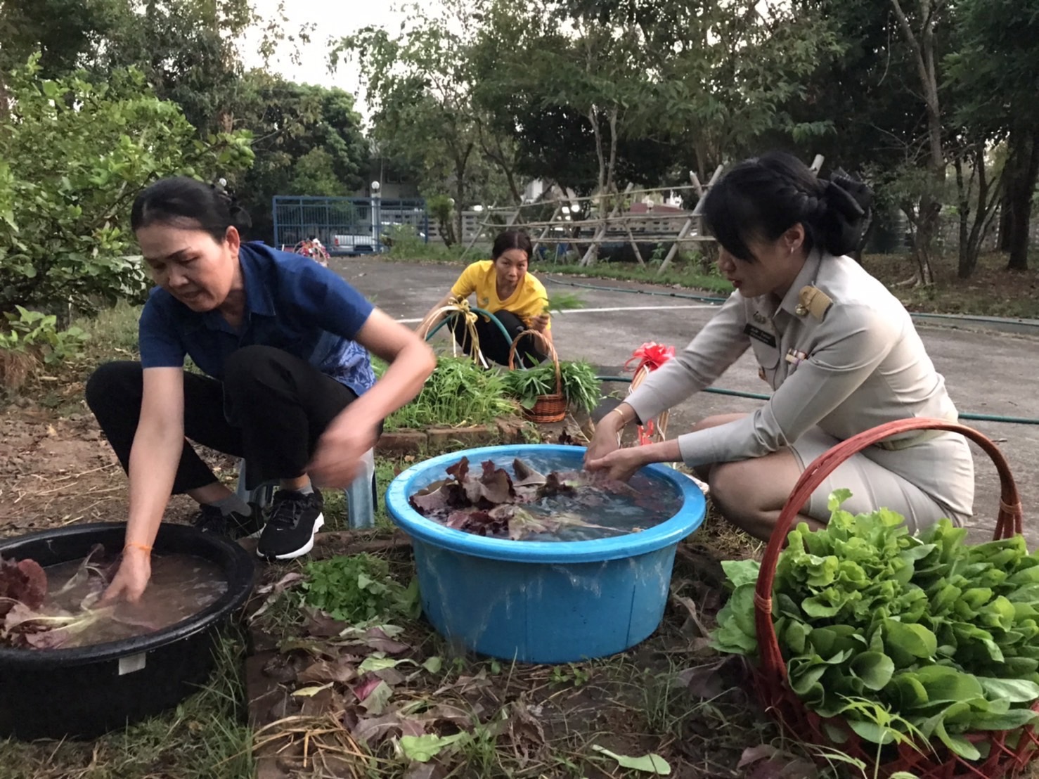 พช.หนองคาย ดำเนินกิจกรรมตามโครงการบ้านนี้มีรักปลูกผักกินเอง