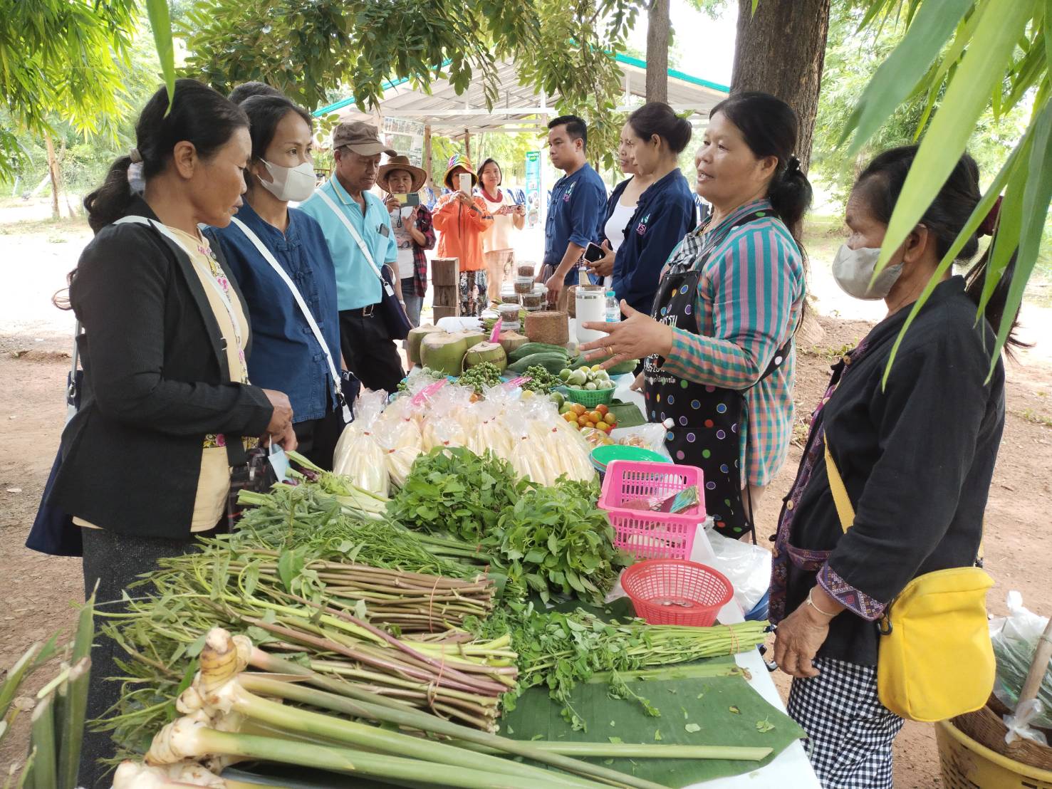 จังหวัดหนองคาย ดำเนินโครงการเสริมสร้างรายได้ด้วยเครือข่ายเกษตรปลอดภัย กิจกรรมศึกษาดูงานพื้นที่ต้นแบบการส่งเสริมและพัฒนาศักยภาพเครือข่ายเกษตรปลอดภัยระดับจังหวัด