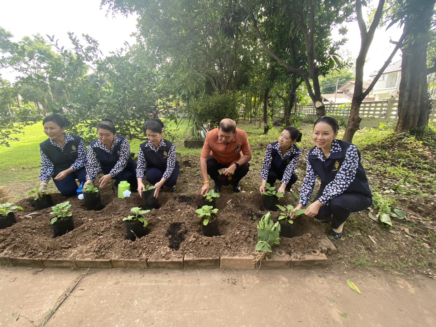 พช หนองคาย ร่วมกับชมรม แม่บ้านมหาดไทยจังหวัดหนองคาย ดำเนินกิจกรรมบ้านนี้ มีรัก ปลูกผักกินเอง/ครอบครัวมหาดไทยใส่ใจสิ่งแวดล้อม