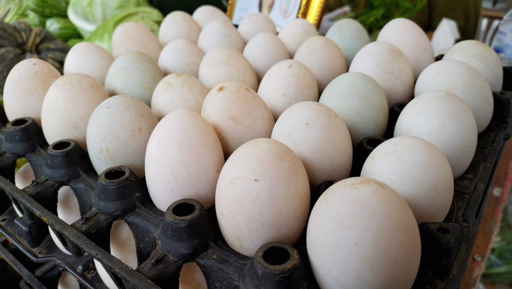 พช.หนองคาย ดำเนินโครงการส่งเสริมช่องทางการตลาดเครือข่ายเกษตรปลอดภัย ณ ศูนย์แสดงและจำหน่ายผลิตภัณฑ์ OTOP จังหวัดหนองคาย