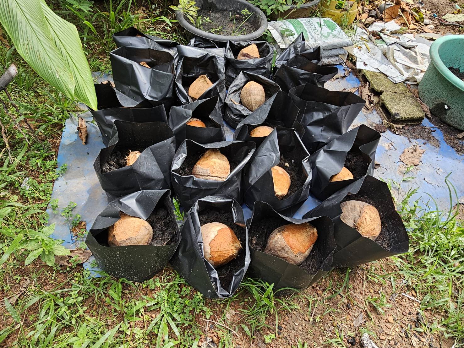 พช.หนองคาย ลงพื้นที่ติดตามการดำเนินโครงการพัฒนาคุณภาพชีวิตครัวเรือนยากจนและผู้ด้อยโอกาส ลดความเหลื่อมล้ำ อ.โพธิ์ตาก อ.ท่าบ่อ และอ.สระใคร