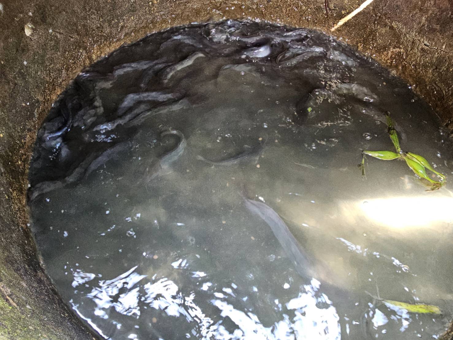 พช.หนองคาย ลงพื้นที่ติดตามการดำเนินโครงการพัฒนาคุณภาพชีวิตครัวเรือนยากจนและผู้ด้อยโอกาส ลดความเหลื่อมล้ำ อ.โพธิ์ตาก อ.ท่าบ่อ และอ.สระใคร