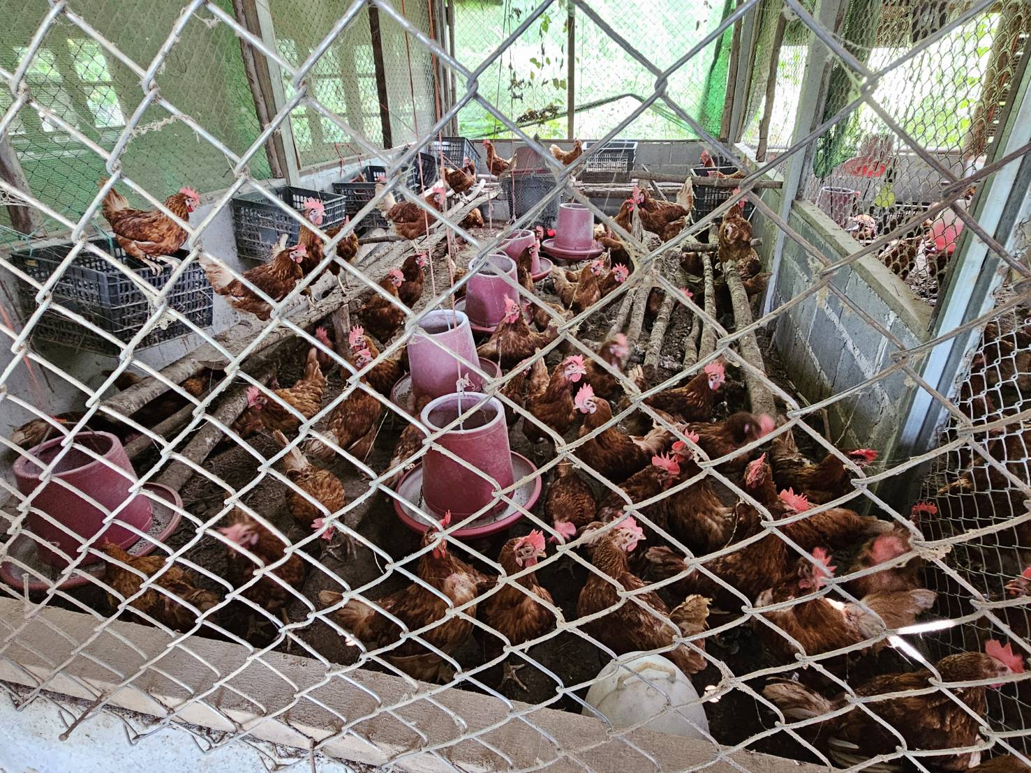 พช.หนองคาย ลงพื้นที่ติดตามการดำเนินโครงการพัฒนาคุณภาพชีวิตครัวเรือนยากจนและผู้ด้อยโอกาส ลดความเหลื่อมล้ำ อ.โพธิ์ตาก อ.ท่าบ่อ และอ.สระใคร