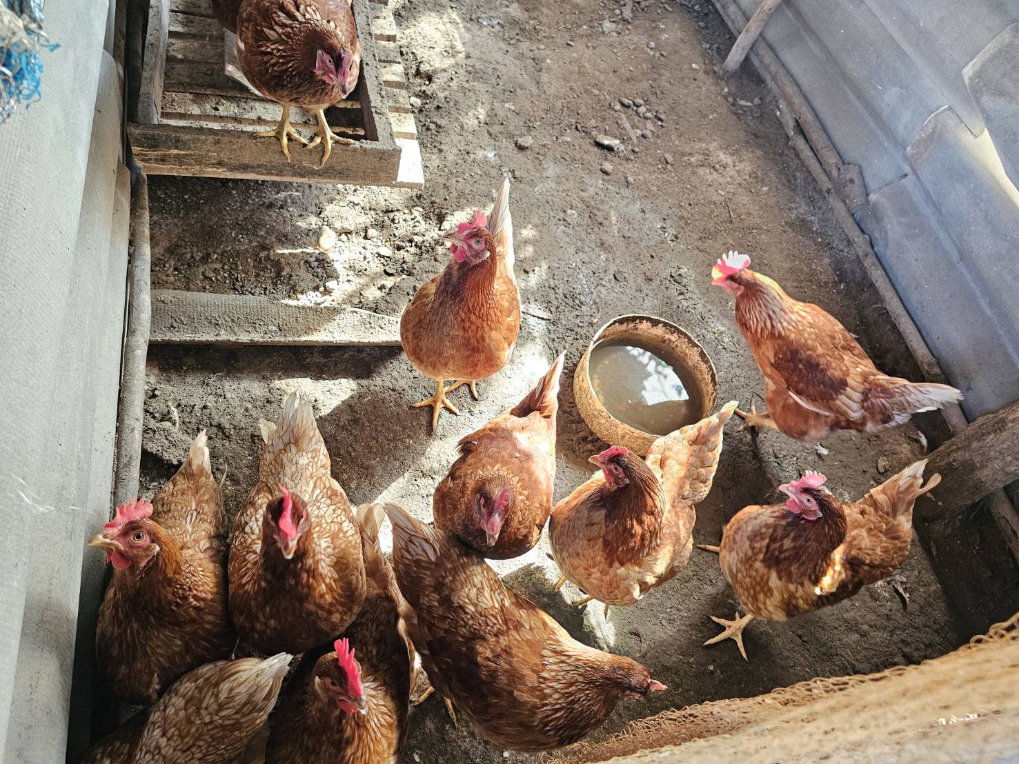 พช.หนองคาย ลงพื้นที่ติดตามการดำเนินโครงการพัฒนาคุณภาพชีวิตครัวเรือนยากจนและผู้ด้อยโอกาส ลดความเหลื่อมล้ำ อ.โพธิ์ตาก อ.ท่าบ่อ และอ.สระใคร