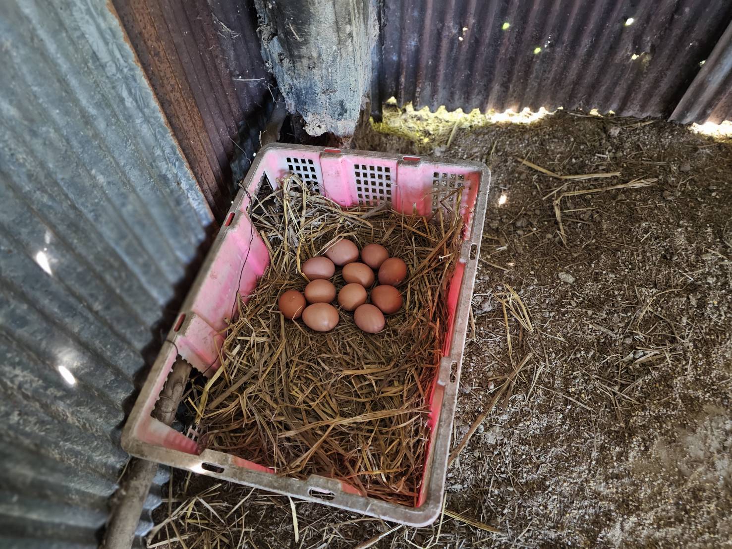 พช.หนองคาย ลงพื้นที่ติดตามการดำเนินโครงการพัฒนาคุณภาพชีวิตครัวเรือนยากจนและผู้ด้อยโอกาส ลดความเหลื่อมล้ำ อ.โพธิ์ตาก อ.ท่าบ่อ และอ.สระใคร