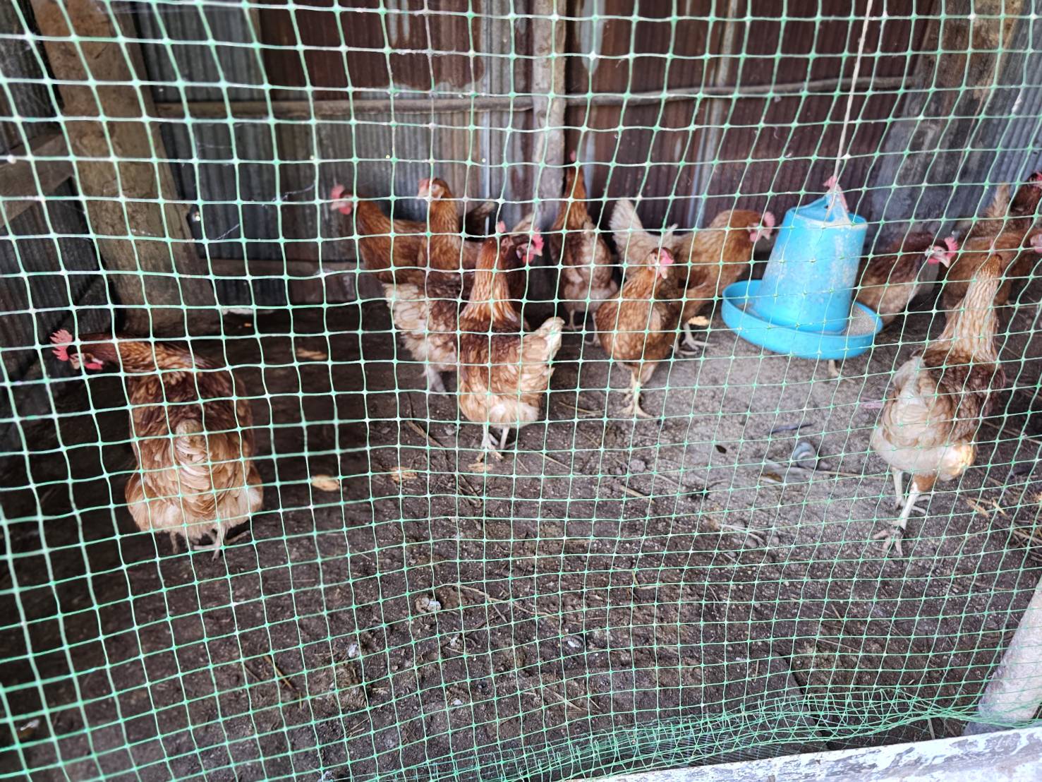 พช.หนองคาย ลงพื้นที่ติดตามการดำเนินโครงการพัฒนาคุณภาพชีวิตครัวเรือนยากจนและผู้ด้อยโอกาส ลดความเหลื่อมล้ำ อ.โพธิ์ตาก อ.ท่าบ่อ และอ.สระใคร