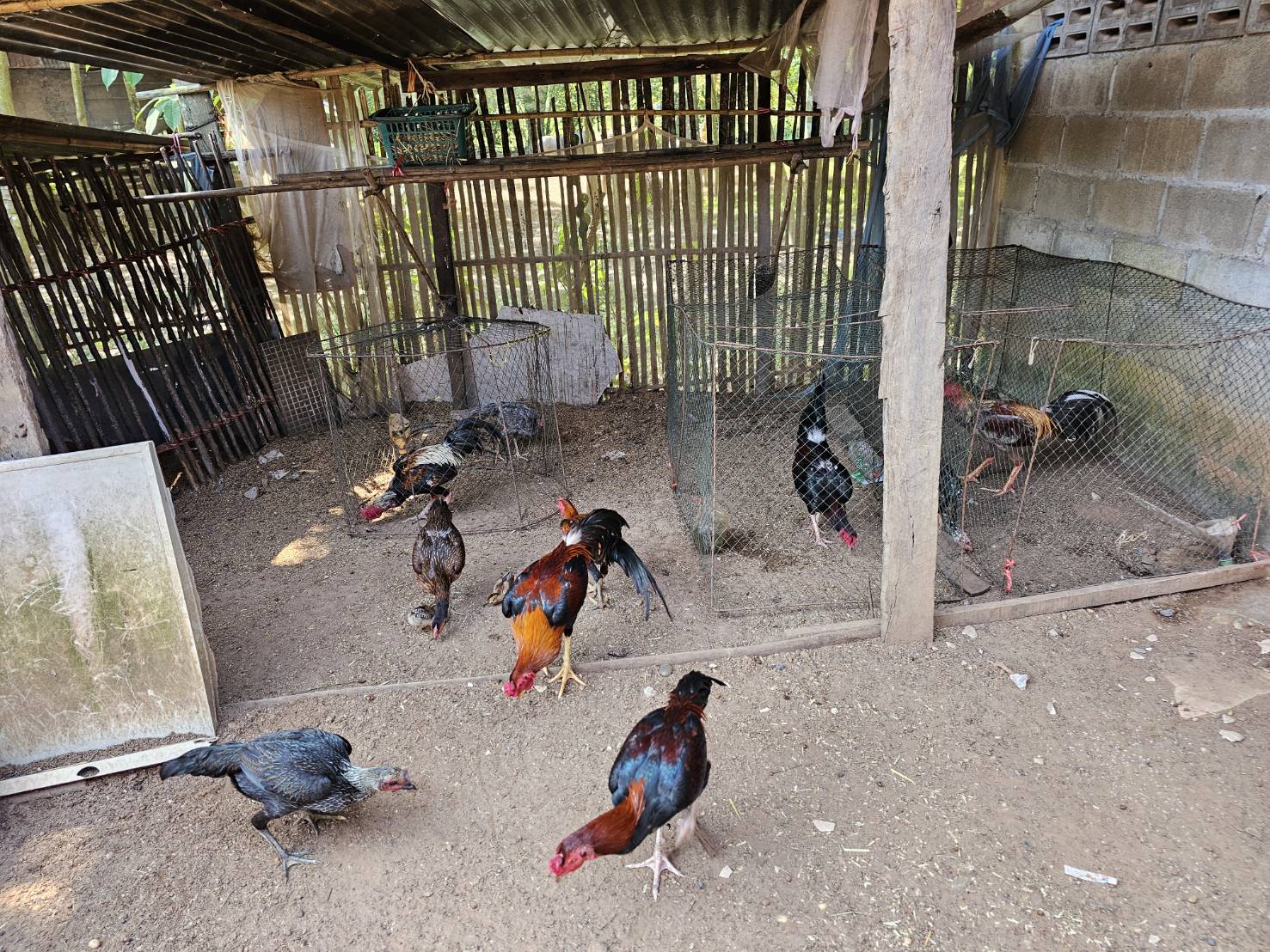 พช.หนองคาย ลงพื้นที่ติดตามการดำเนินโครงการพัฒนาคุณภาพชีวิตครัวเรือนยากจนฯ พร้อมแนะนำแอป Click ชุมชน “บริการถึงที่ ดุจญาติมิตร ใกล้ชิดทุกชุมชน คลิกแล้ว อย่าคลิกเลย ต้องคลิกชุมชน”