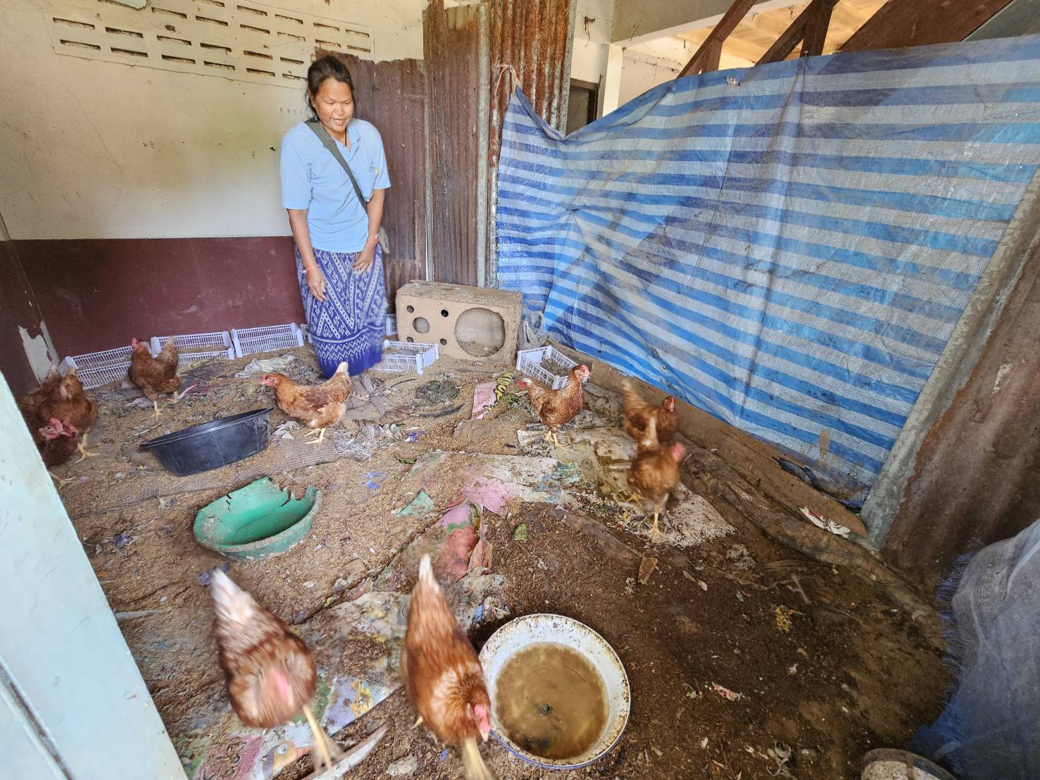 พช.หนองคาย ลงพื้นที่ติดตามการดำเนินโครงการพัฒนาคุณภาพชีวิตครัวเรือนยากจนฯ พร้อมแนะนำแอป “Click ชุมชน” ในพื้นที่ อ.รัตนวาปี อ.โพนพิสัย และอ.เมืองหนองคาย