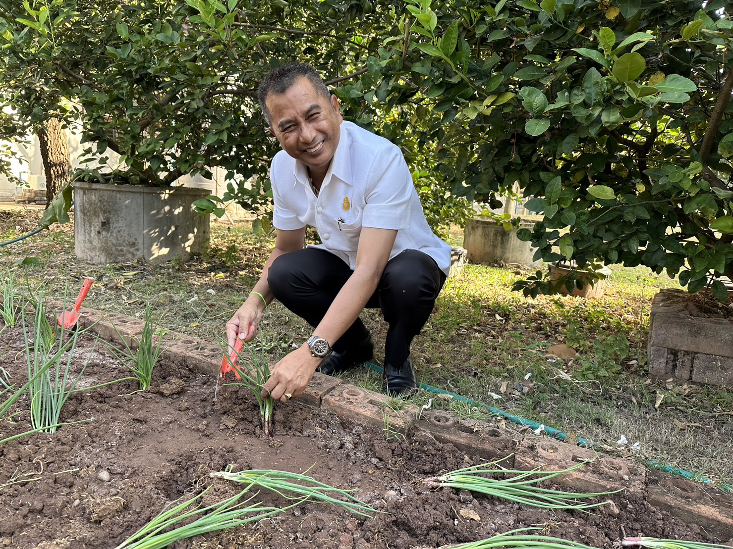 ผู้นำต้องทำก่อน ผู้ว่าฯ หนองคาย ขับเคลื่อนการน้อมนำแนวพระราชดำริของสมเด็จพระกนิษฐาธิราชเจ้า กรมสมเด็จพระเทพรัตนราชสุดาฯ สยามบรมราชกุมารี ปลูกผักสวนครัว เพื่อสร้างความมั่นคงทางอาหาร ประจำปีงบประมาณ พ.ศ. 2567