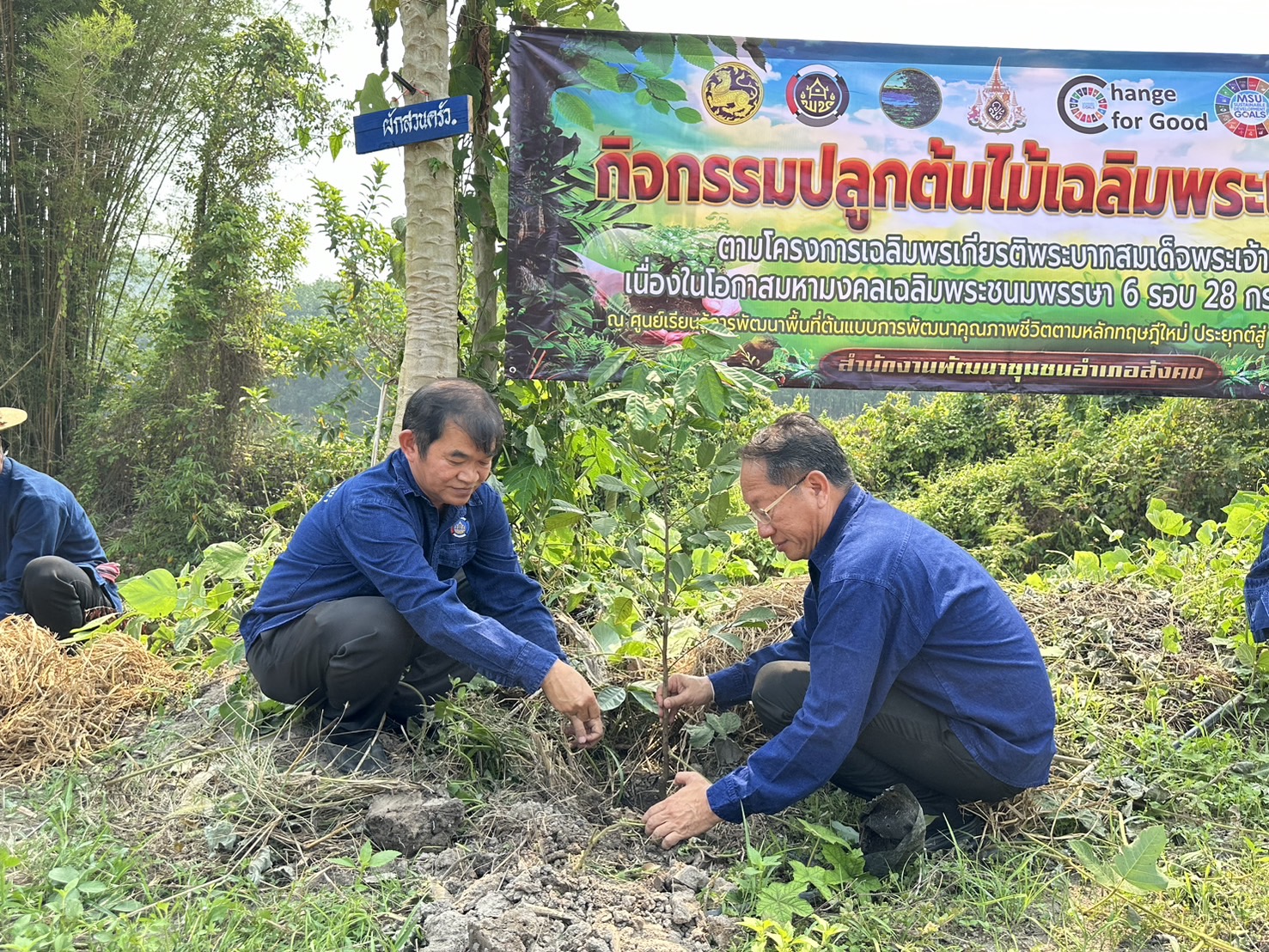 พช.หนองคาย น้อมนำหลักปรัชญาของเศรษฐกิจพอเพียงผ่านการดำเนินโครงการเฉลิมพระเกียรติพระบาทสมเด็จพระเจ้าอยู่หัว เนื่องในโอกาสมหามงคลเฉลิมพระชนมพรรษา 6 รอบ 28 กรกฎาคม 2567 ณ ศูนย์เรียนรู้ “โคก หนอง นา โมเดล” อำเภอสังคม