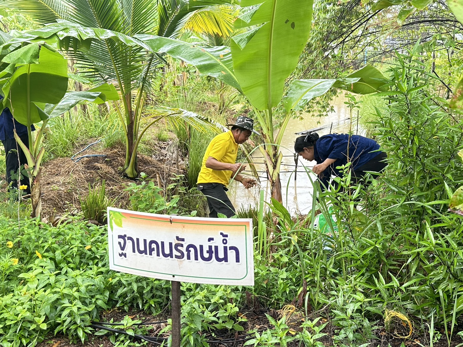 พช.หนองคาย น้อมนำหลักปรัชญาของเศรษฐกิจพอเพียงผ่านการดำเนินโครงการเฉลิมพระเกียรติพระบาทสมเด็จพระเจ้าอยู่หัว เนื่องในโอกาสมหามงคลเฉลิมพระชนมพรรษา 6 รอบ 28 กรกฎาคม 2567 ณ ศูนย์เรียนรู้ “โคก หนอง นา โมเดล” อำเภอโพนพิสัย