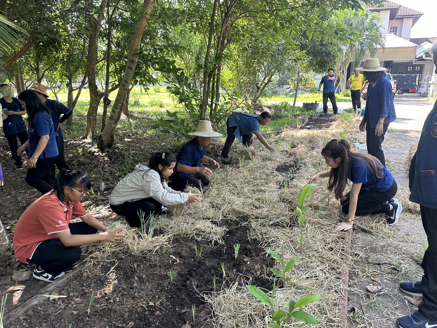 พช.หนองคาย ผนึกกำลัง ผู้นำ อช. ร่วมกับเครือข่ายโคกหนองนาอำเภอเมืองหนองคาย ขับเคลื่อนการน้อมนำแนวพระราชดำริของสมเด็จพระกนิษฐาธิราชเจ้า กรมสมเด็จพระเทพรัตนราชสุดาฯ สยามบรมราชกุมารี สู่ปฏิบัติการปลูกผักสวนครัว เพื่อสร้างความมั่นคงทางอาหาร กิจกรรม “ผู้นำต้นแบบตัวอย่างที่เห็นจริง”