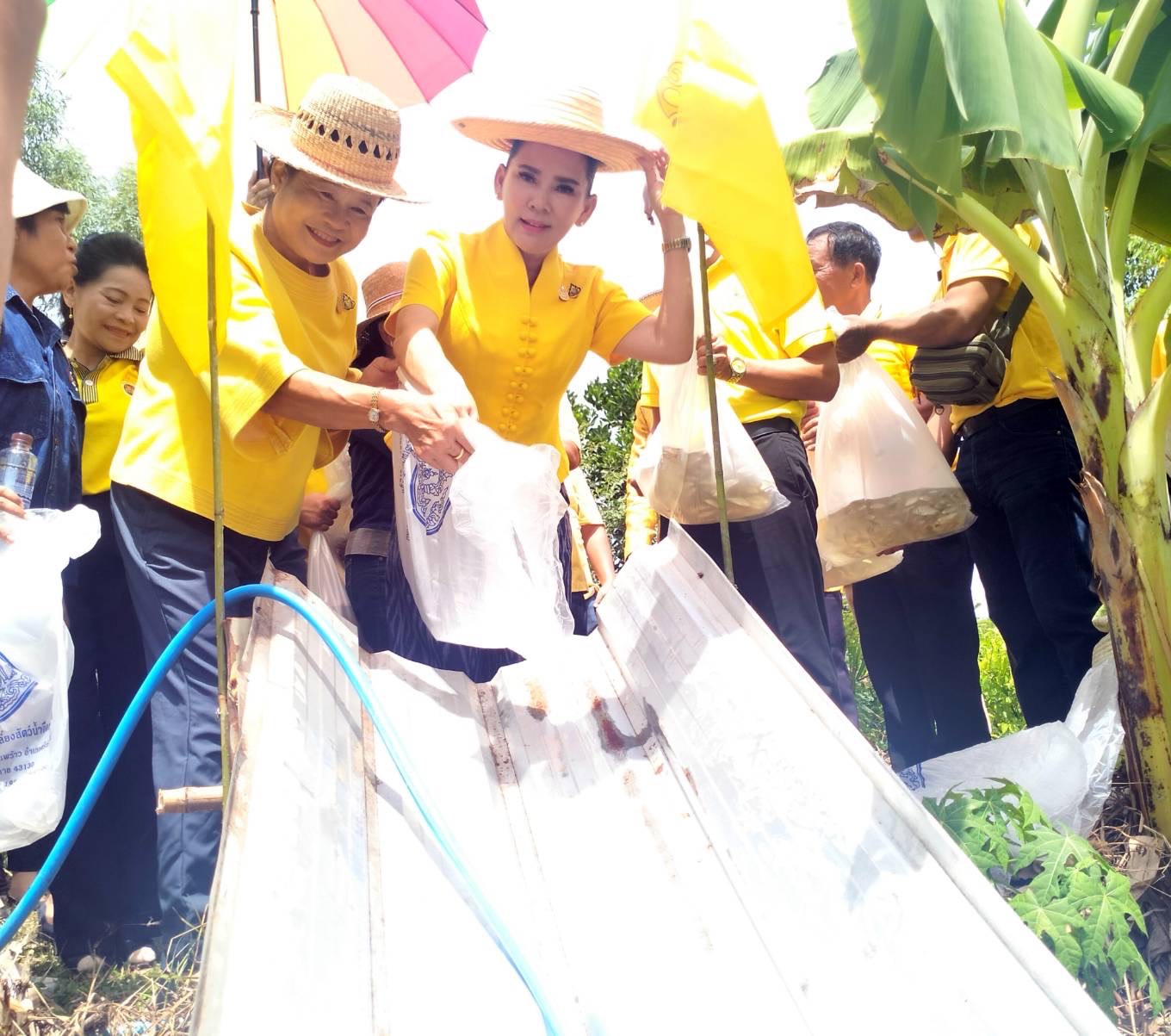 พช.หนองคาย น้อมนำหลักปรัชญาของเศรษฐกิจพอเพียงผ่านการดำเนินโครงการเฉลิมพระเกียรติพระบาทสมเด็จพระเจ้าอยู่หัว เนื่องในโอกาสมหามงคลเฉลิมพระชนมพรรษา 6 รอบ 28 กรกฎาคม 2567 ณ ศูนย์เรียนรู้ “โคก หนอง นา โมเดล” อำเภอเมืองหนองคาย