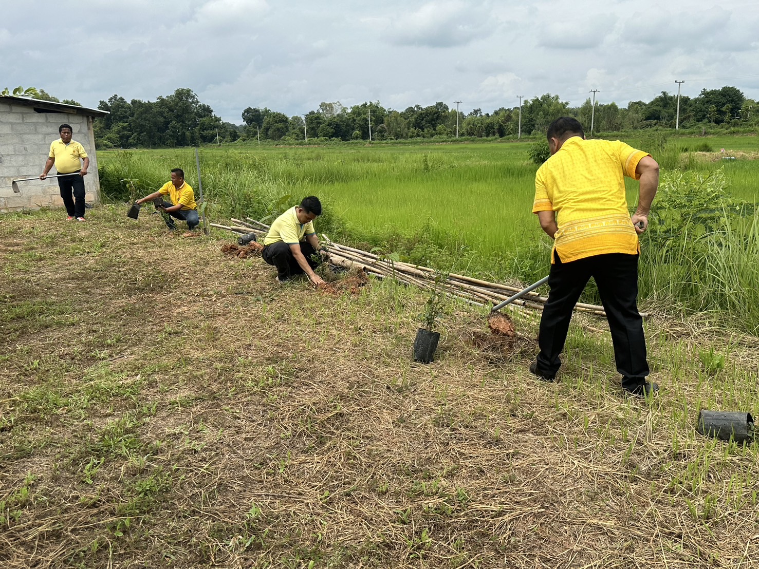 พช.หนองคาย ดำเนินโครงการส่งเสริมและสนับสนุนกิจกรรมอนุรักษ์พันธุกรรมพืช ตามโครงการอนุรักษ์พันธุกรรมพืชอันเนื่องมาจากพระราชดำริ สมเด็จพระเทพรัตนราชสุดาฯ สยามบรมราชกุมารี (อพ.สธ.)