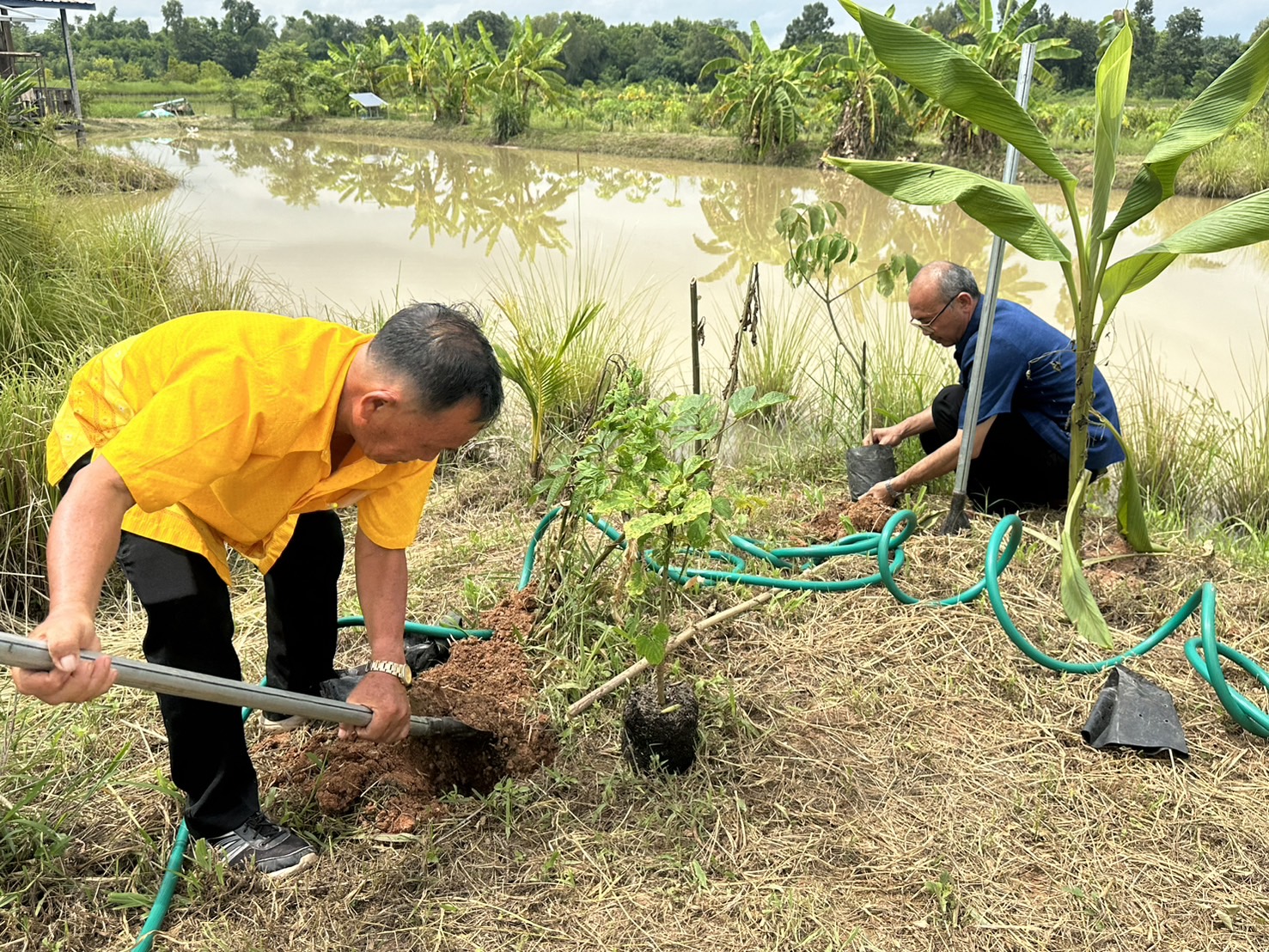 พช.หนองคาย ดำเนินโครงการส่งเสริมและสนับสนุนกิจกรรมอนุรักษ์พันธุกรรมพืช ตามโครงการอนุรักษ์พันธุกรรมพืชอันเนื่องมาจากพระราชดำริ สมเด็จพระเทพรัตนราชสุดาฯ สยามบรมราชกุมารี (อพ.สธ.)