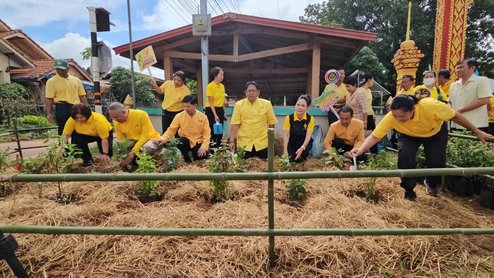 พช.หนองคาย น้อมนำแนวพระราชดำริฯ การสร้างความมั่นคงทางอาหาร จัดกิจกรรม KICK OFF “เส้นทางนี้มีผล ผู้คนรักกัน ปันสุข”