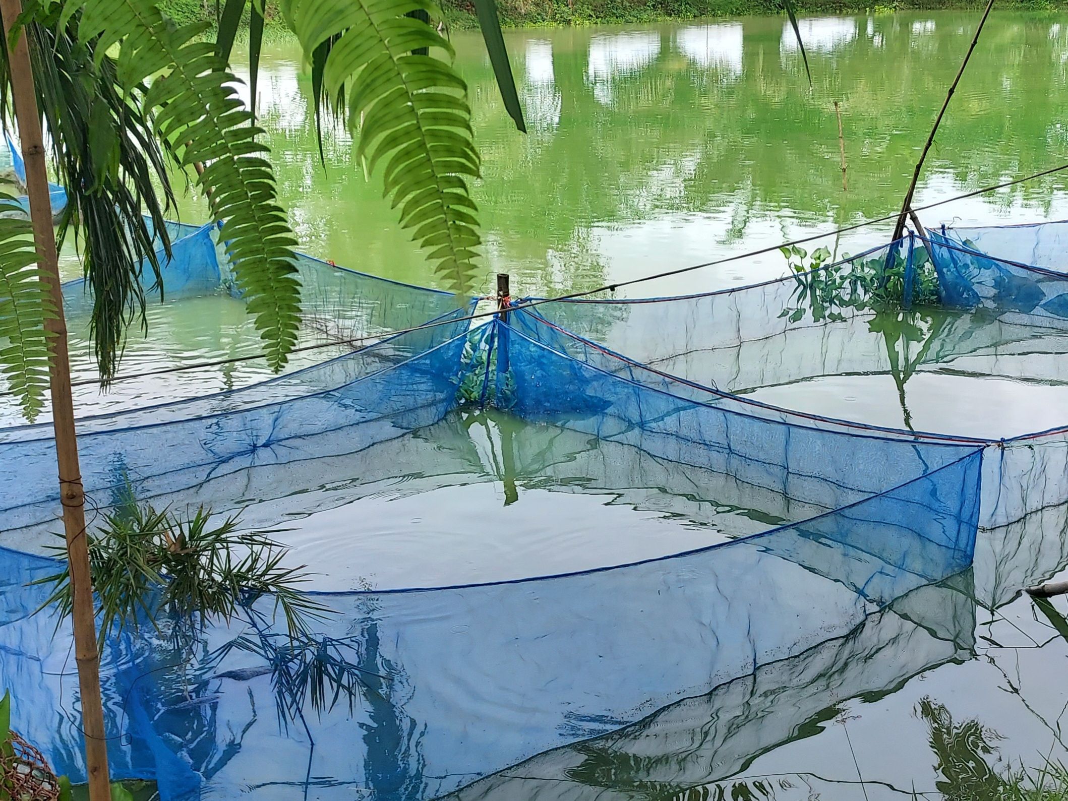 พช.หนองคาย ลงพื้นที่ติดตาม สนับสนุนแบบบูรณาการตามโครงการส่งเสริมการสร้างรายได้จากกิจการอาหารปลอดภัย ประจำปี 2567