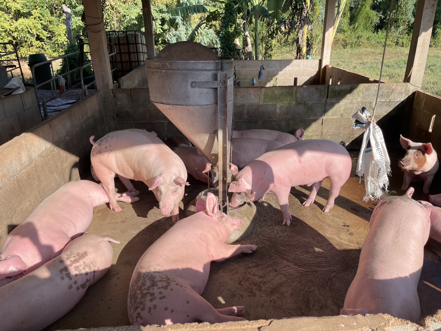 กองทุนฯ สตรี หนองคาย ลงพื้นที่ประเมินกลั่นกรองโครงการเงินทุนหมุนเวียน อำเภอสังคม อำเภอโพธิ์ตาก และอำเภอเมือง