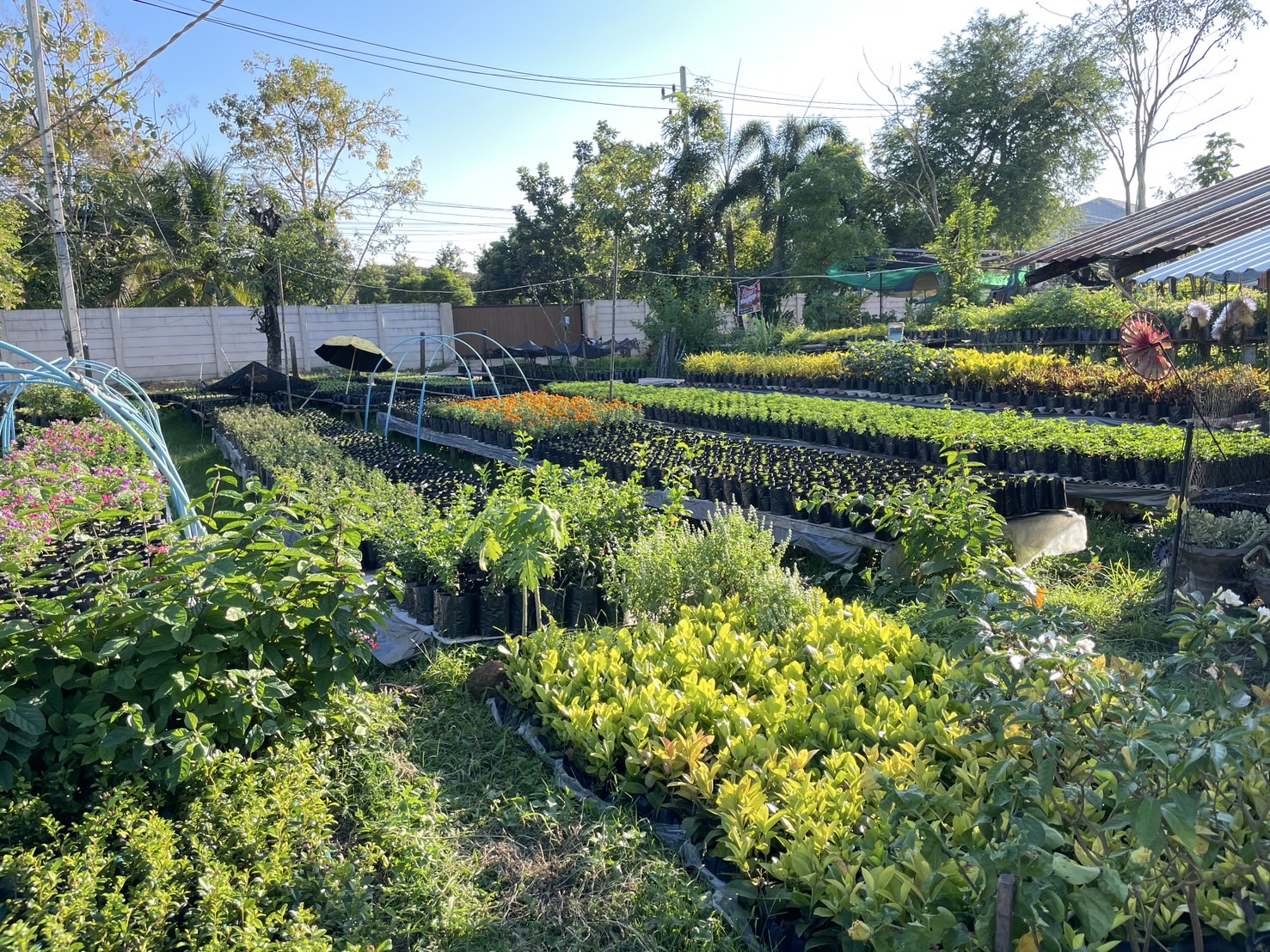 กองทุนฯ สตรี หนองคาย ลงพื้นที่ประเมินกลั่นกรองโครงการเงินทุนหมุนเวียน อำเภอสังคม อำเภอโพธิ์ตาก และอำเภอเมือง