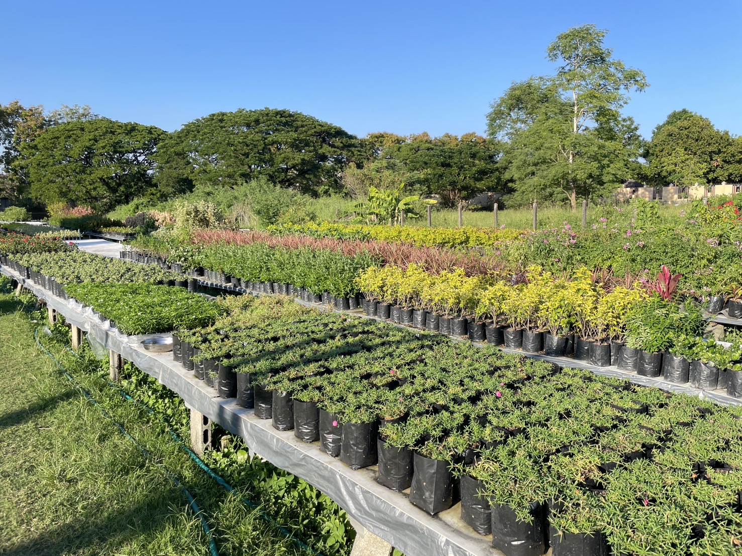 กองทุนฯ สตรี หนองคาย ลงพื้นที่ประเมินกลั่นกรองโครงการเงินทุนหมุนเวียน อำเภอสังคม อำเภอโพธิ์ตาก และอำเภอเมือง