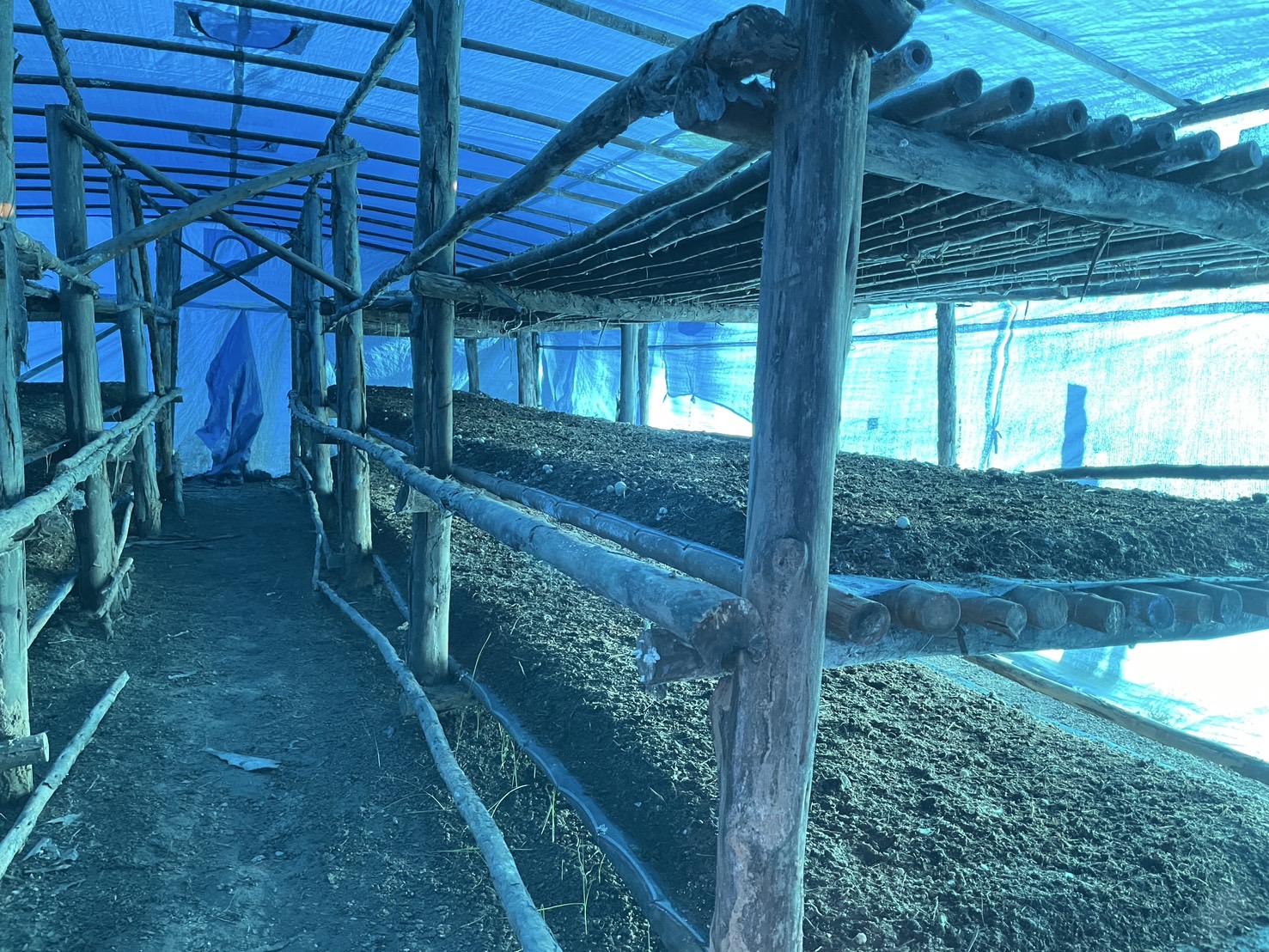 กองทุนฯ สตรี หนองคาย ลงพื้นที่ประเมินกลั่นกรองโครงการเงินทุนหมุนเวียน อำเภอสังคม อำเภอโพธิ์ตาก และอำเภอเมือง