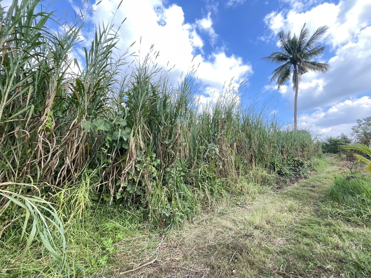 กองทุนฯ สตรี หนองคาย ลงพื้นที่ประเมินกลั่นกรองโครงการเงินทุนหมุนเวียน อำเภอท่าบ่อ
