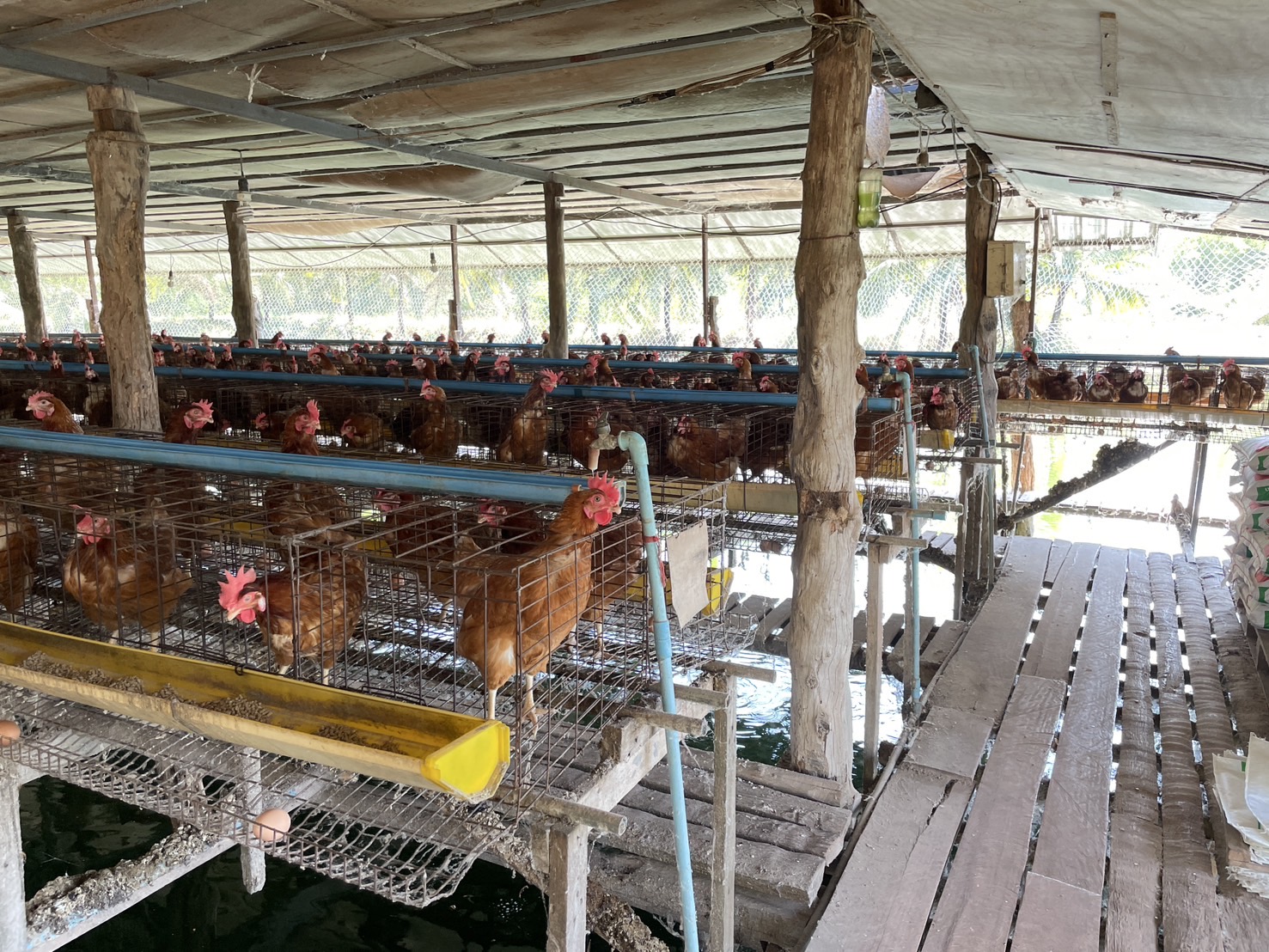 กองทุนฯ สตรี หนองคาย ลงพื้นที่ประเมินกลั่นกรองโครงการเงินทุนหมุนเวียน อำเภอท่าบ่อ