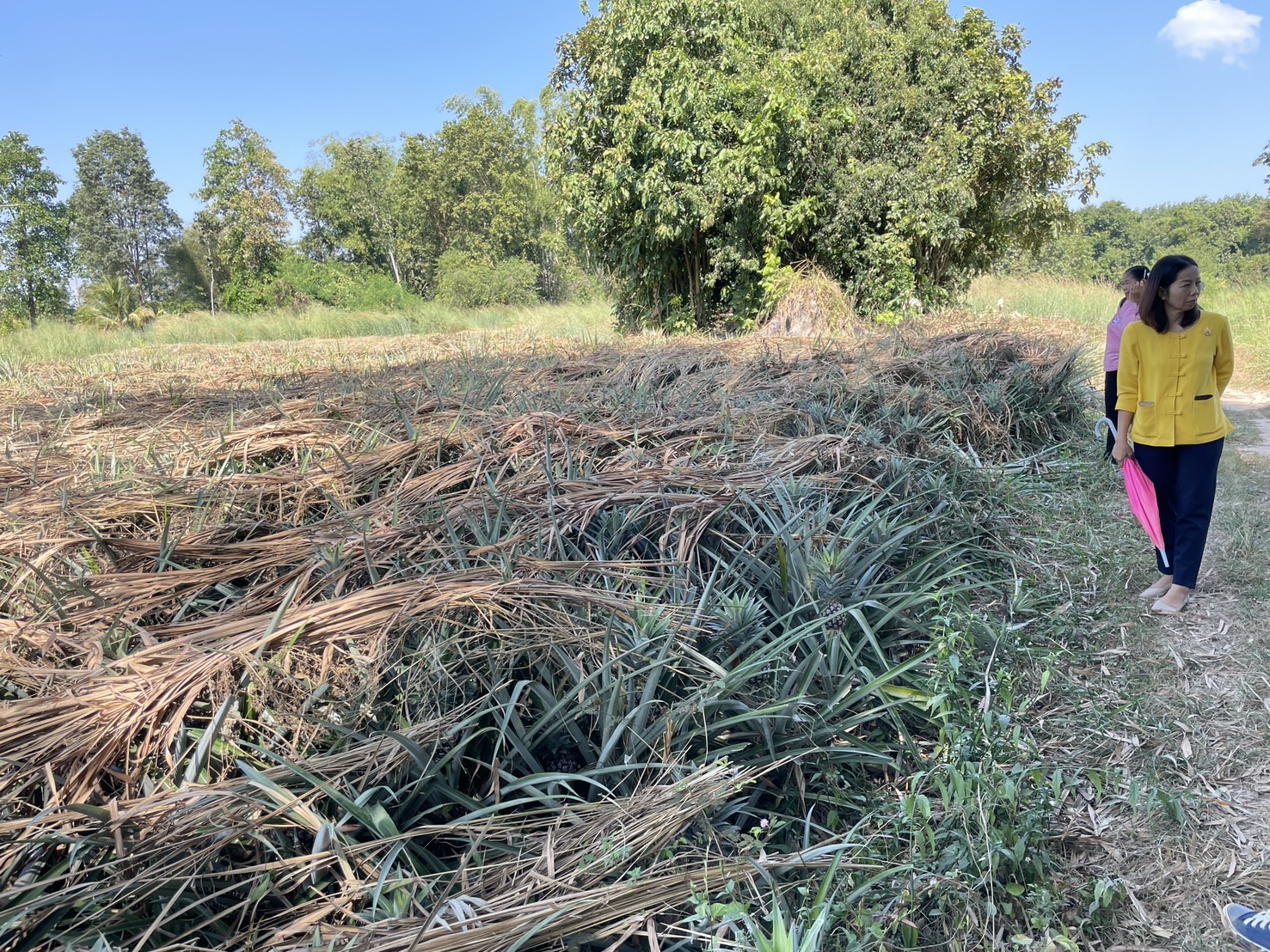 กองทุนฯ สตรี หนองคาย ลงพื้นที่ประเมินกลั่นกรองโครงการเงินทุนหมุนเวียน อำเภอท่าบ่อ