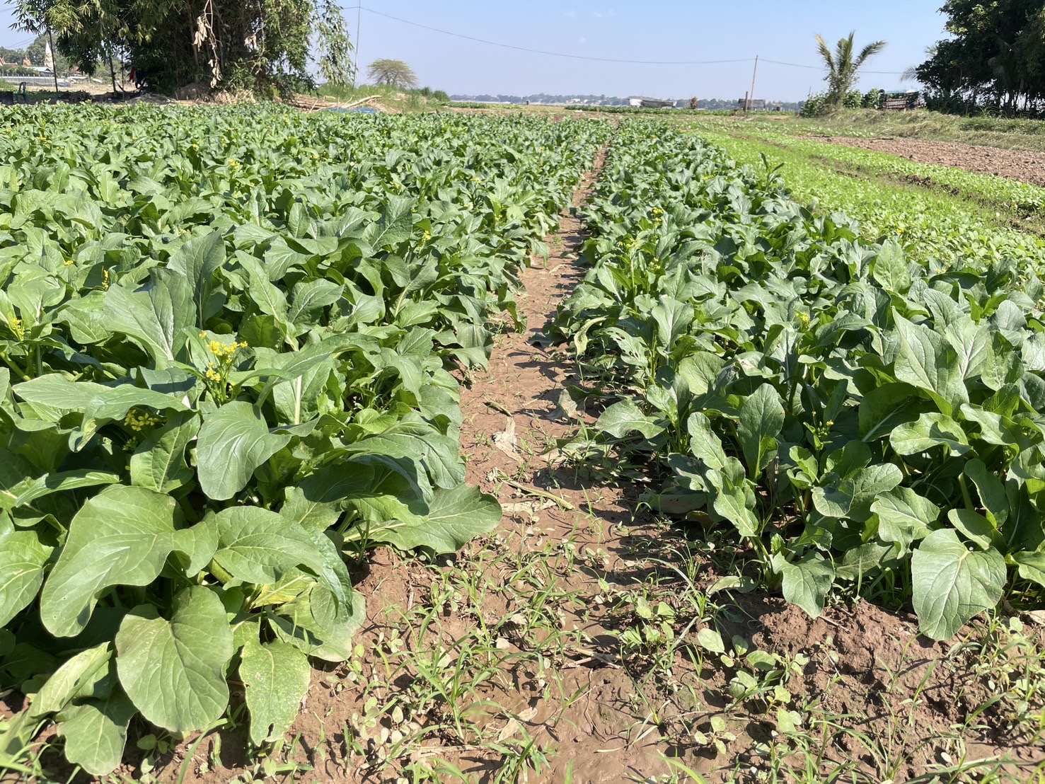 กองทุนฯ สตรี หนองคาย ลงพื้นที่ประเมินกลั่นกรองโครงการเงินทุนหมุนเวียน อำเภอท่าบ่อ