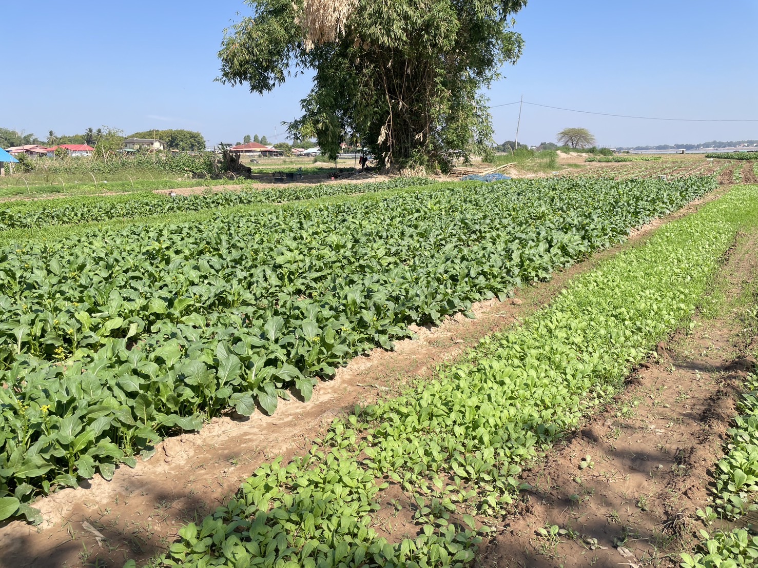 กองทุนฯ สตรี หนองคาย ลงพื้นที่ประเมินกลั่นกรองโครงการเงินทุนหมุนเวียน อำเภอท่าบ่อ