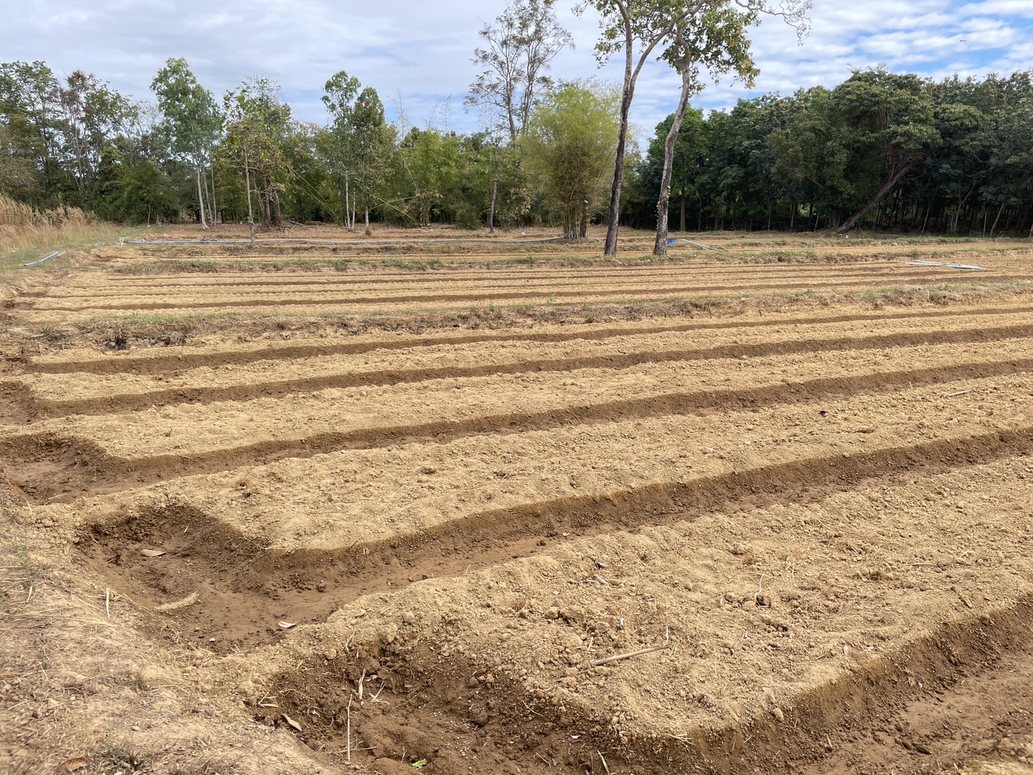 กองทุนฯ สตรี หนองคาย ลงพื้นที่ประเมินกลั่นกรองโครงการเงินทุนหมุนเวียน พื้นที่อำเภอรัตนวาปี