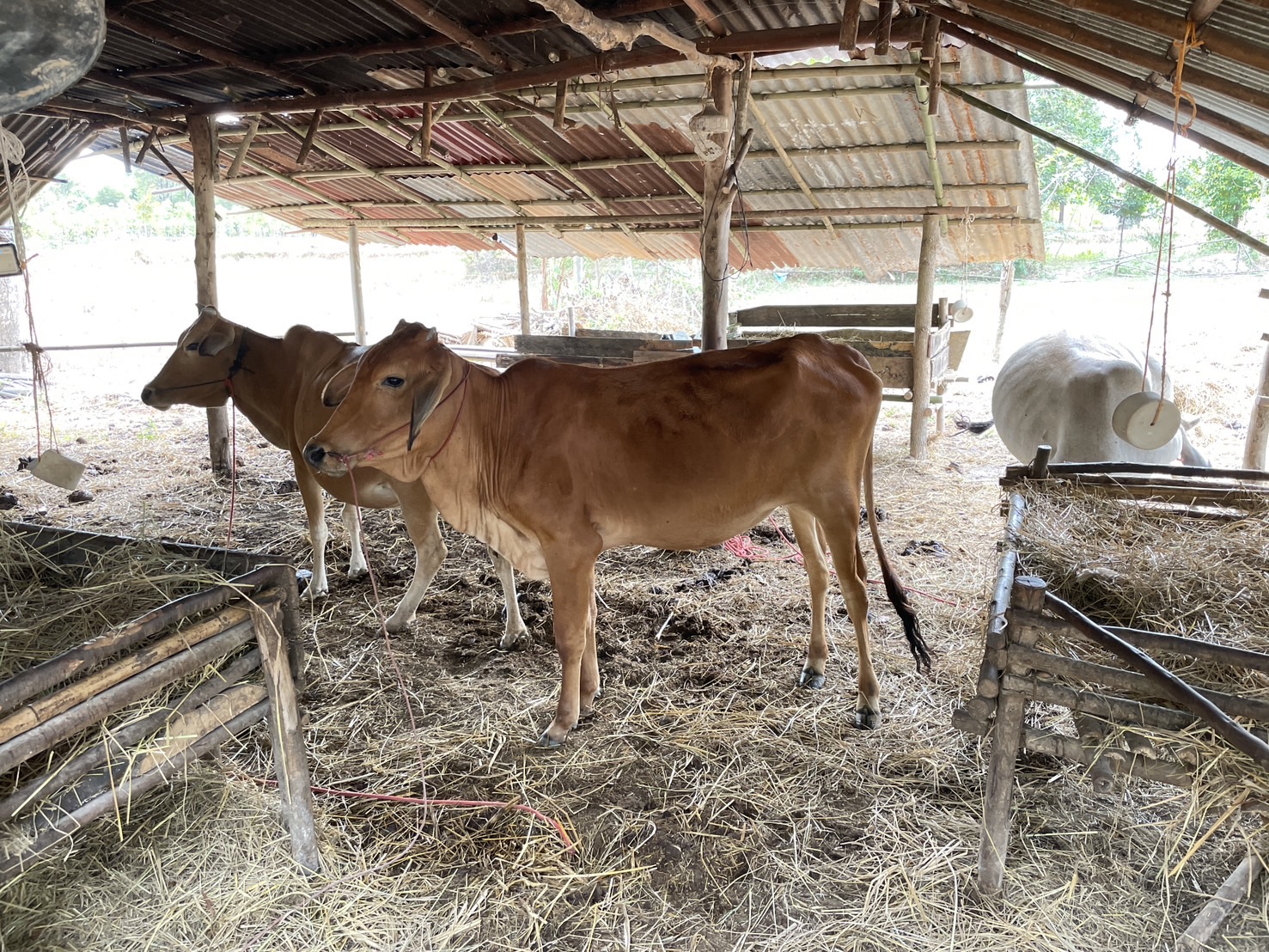 กองทุนฯ สตรี หนองคาย ลงพื้นที่ประเมินกลั่นกรองโครงการเงินทุนหมุนเวียน พื้นที่อำเภอรัตนวาปี