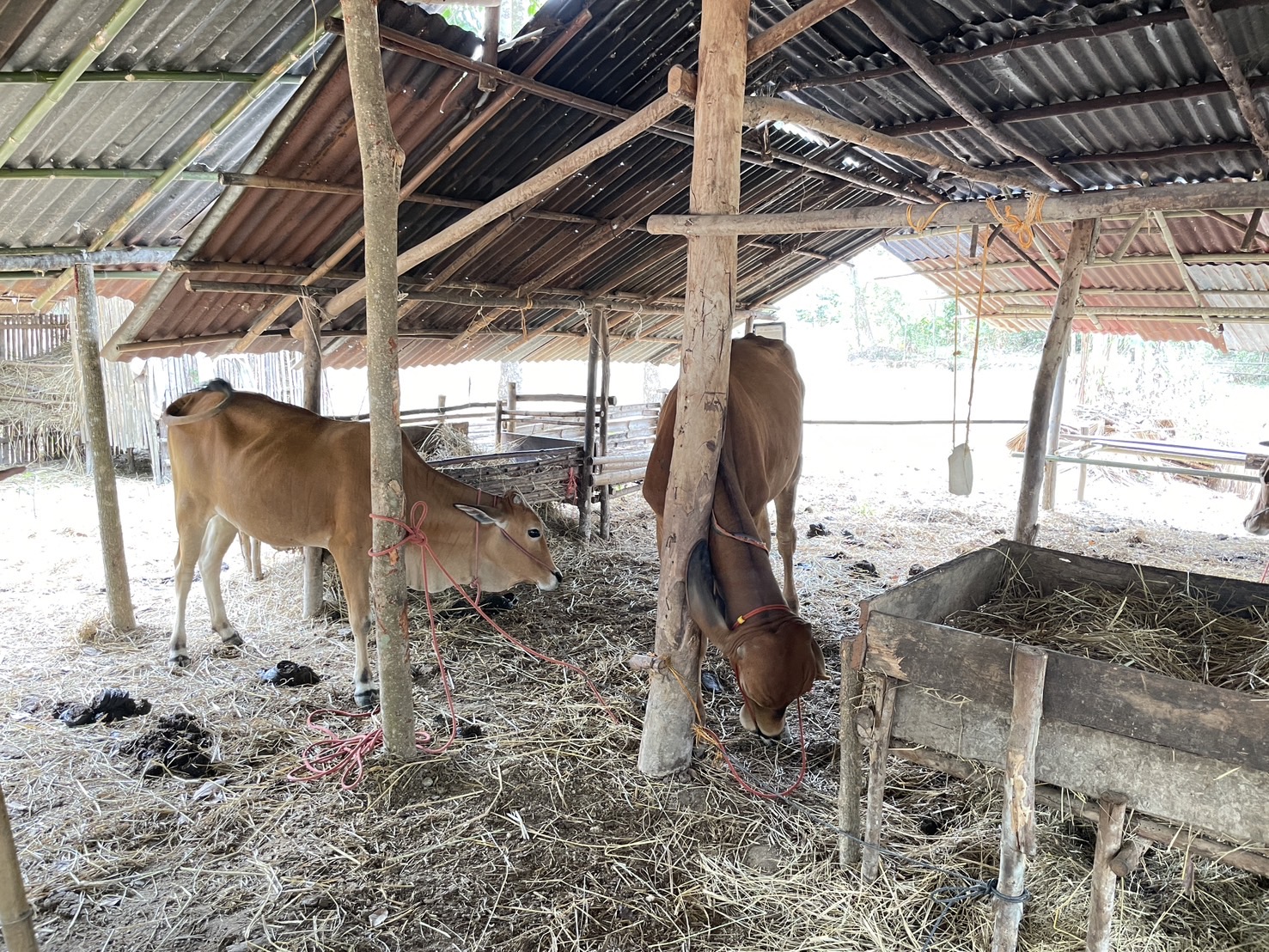 กองทุนฯ สตรี หนองคาย ลงพื้นที่ประเมินกลั่นกรองโครงการเงินทุนหมุนเวียน พื้นที่อำเภอรัตนวาปี