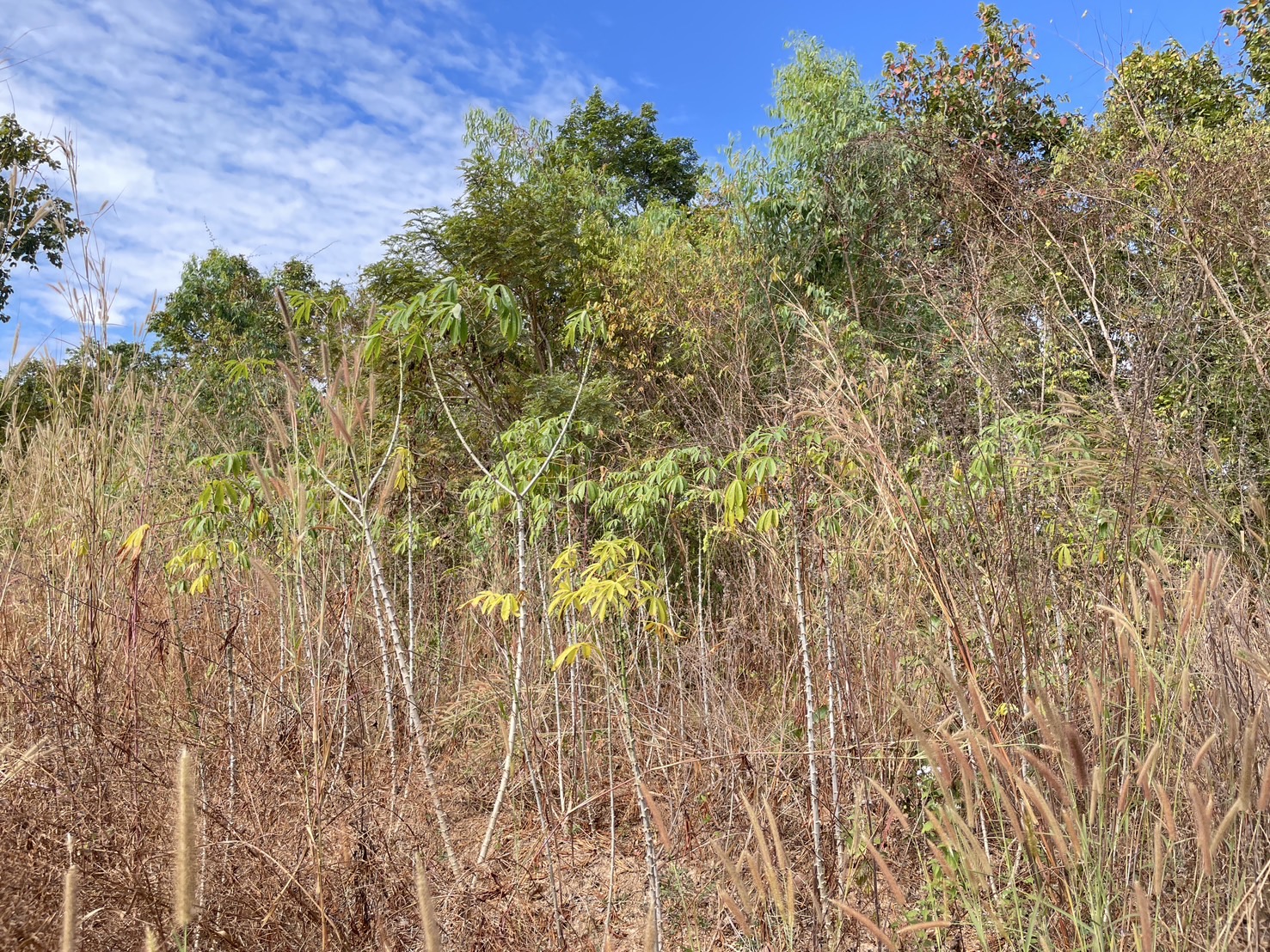 กองทุนฯ สตรี หนองคาย ลงพื้นที่ประเมินกลั่นกรองโครงการเงินทุนหมุนเวียน พื้นที่อำเภอโพนพิสัย