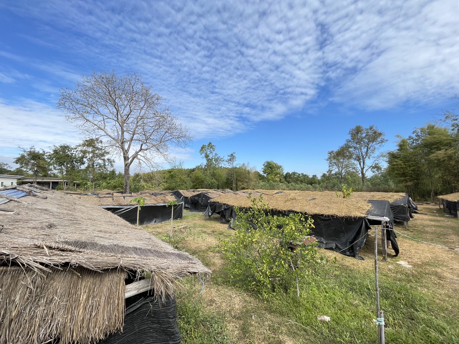 กองทุนฯ สตรี หนองคาย ลงพื้นที่ประเมินกลั่นกรองโครงการเงินทุนหมุนเวียน พื้นที่อำเภอโพนพิสัย