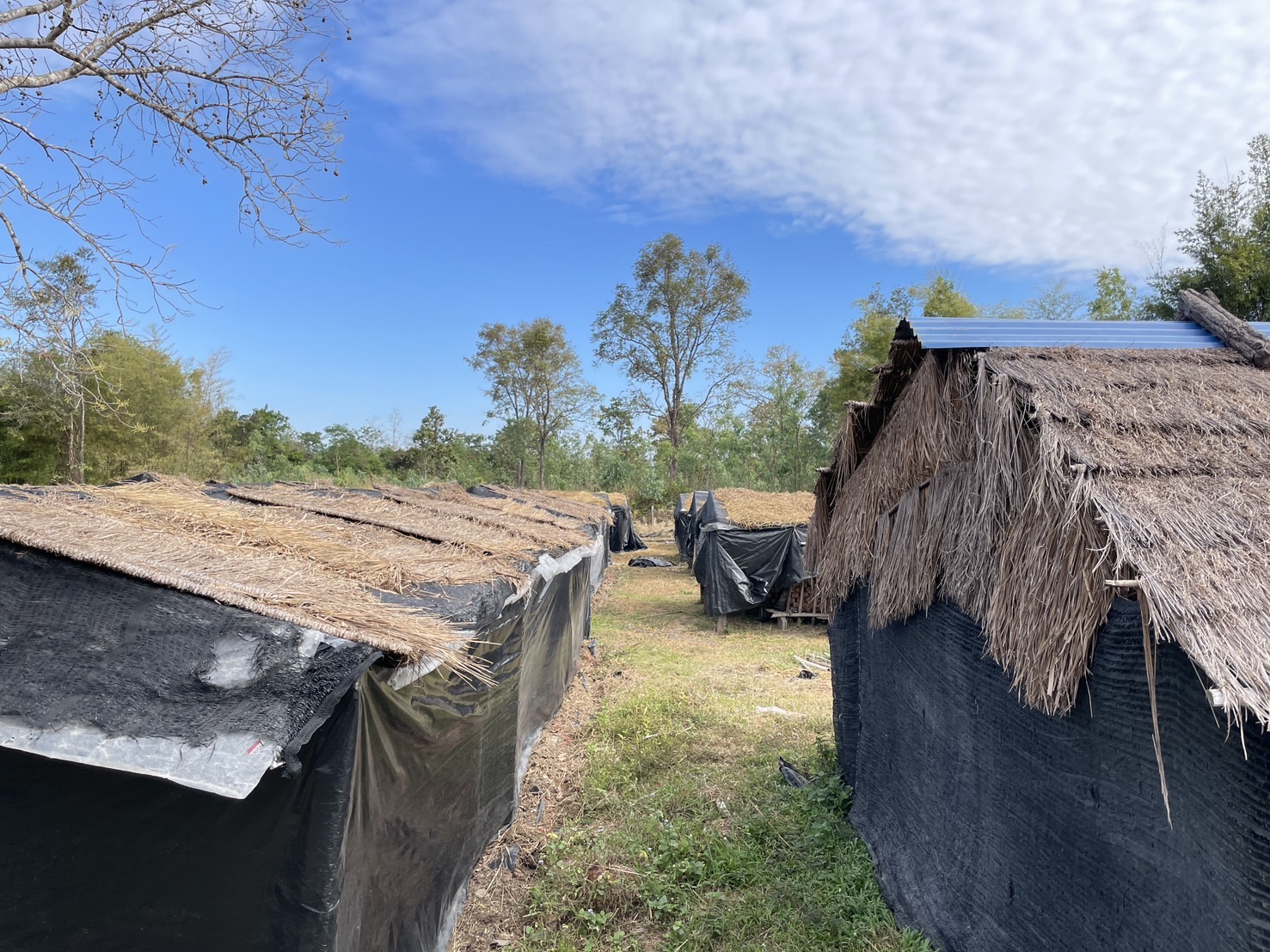 กองทุนฯ สตรี หนองคาย ลงพื้นที่ประเมินกลั่นกรองโครงการเงินทุนหมุนเวียน พื้นที่อำเภอโพนพิสัย