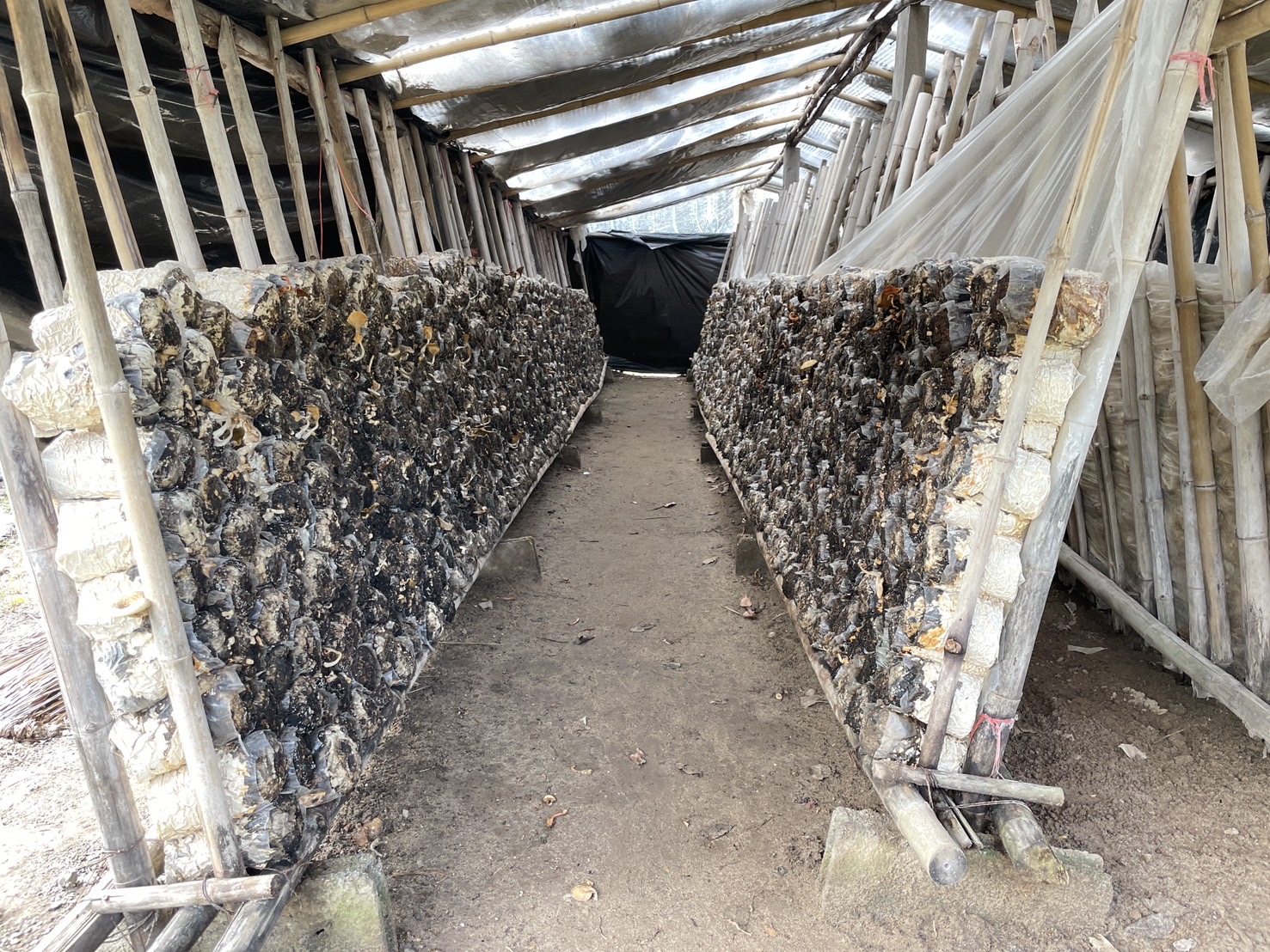 กองทุนฯ สตรี หนองคาย ลงพื้นที่ประเมินกลั่นกรองโครงการเงินทุนหมุนเวียน พื้นที่อำเภอโพนพิสัย