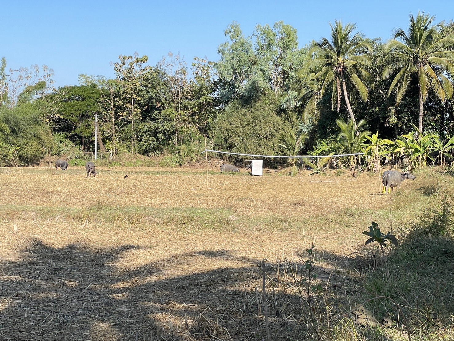 กองทุนฯ สตรี หนองคาย ลงพื้นที่ประเมินกลั่นกรองโครงการเงินทุนหมุนเวียน พื้นที่อำเภอเมืองหนองคายและอำเภอสระใคร