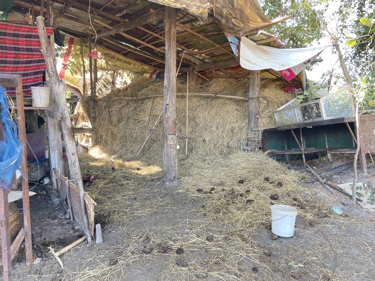 กองทุนฯ สตรี หนองคาย ลงพื้นที่ประเมินกลั่นกรองโครงการเงินทุนหมุนเวียน พื้นที่อำเภอเมืองหนองคายและอำเภอสระใคร