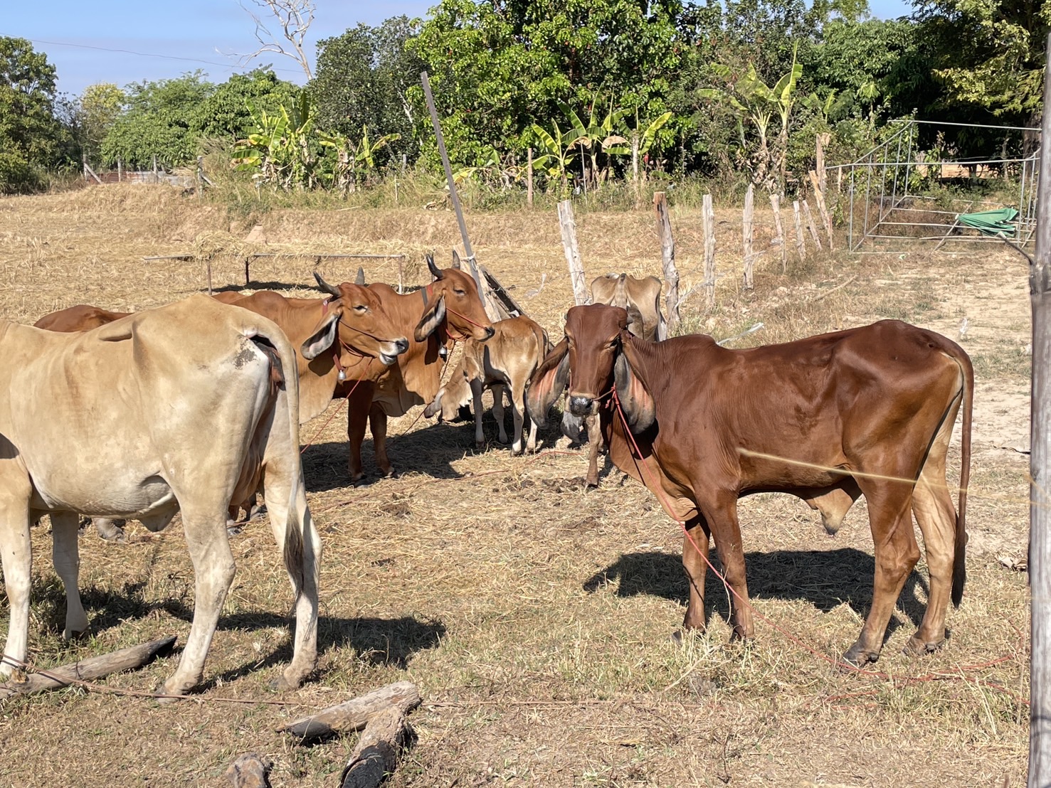 กองทุนฯ สตรี หนองคาย ลงพื้นที่ประเมินกลั่นกรองโครงการเงินทุนหมุนเวียน พื้นที่อำเภอเมืองหนองคายและอำเภอสระใคร