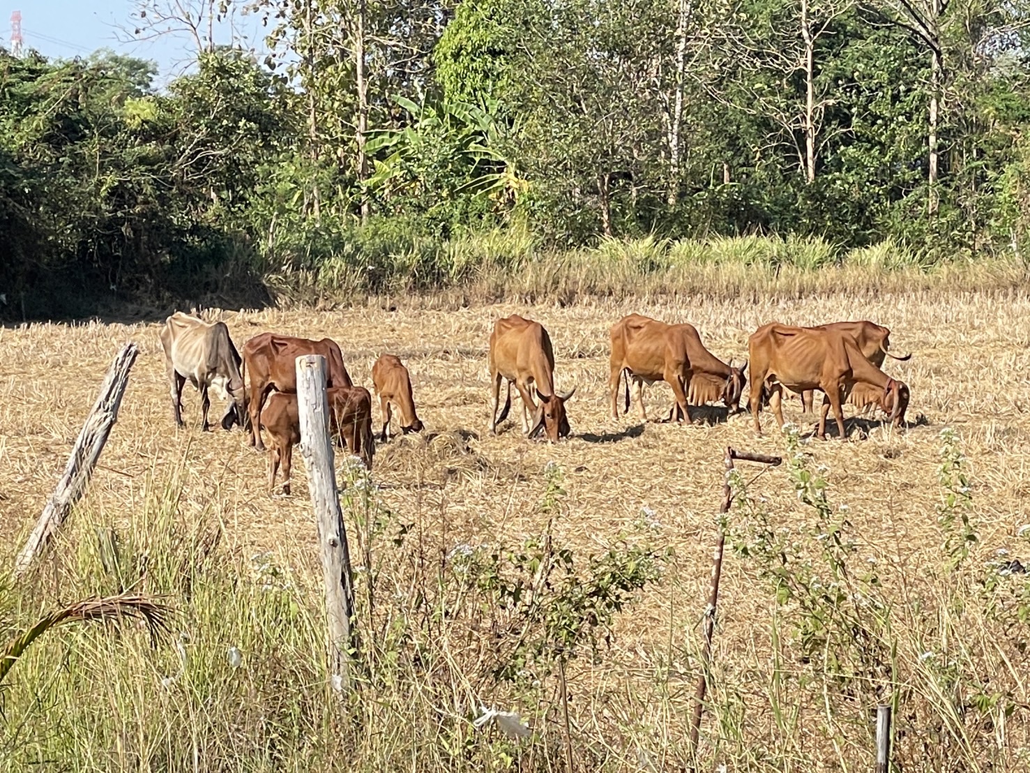 กองทุนฯ สตรี หนองคาย ลงพื้นที่ประเมินกลั่นกรองโครงการเงินทุนหมุนเวียน พื้นที่อำเภอเมืองหนองคายและอำเภอสระใคร