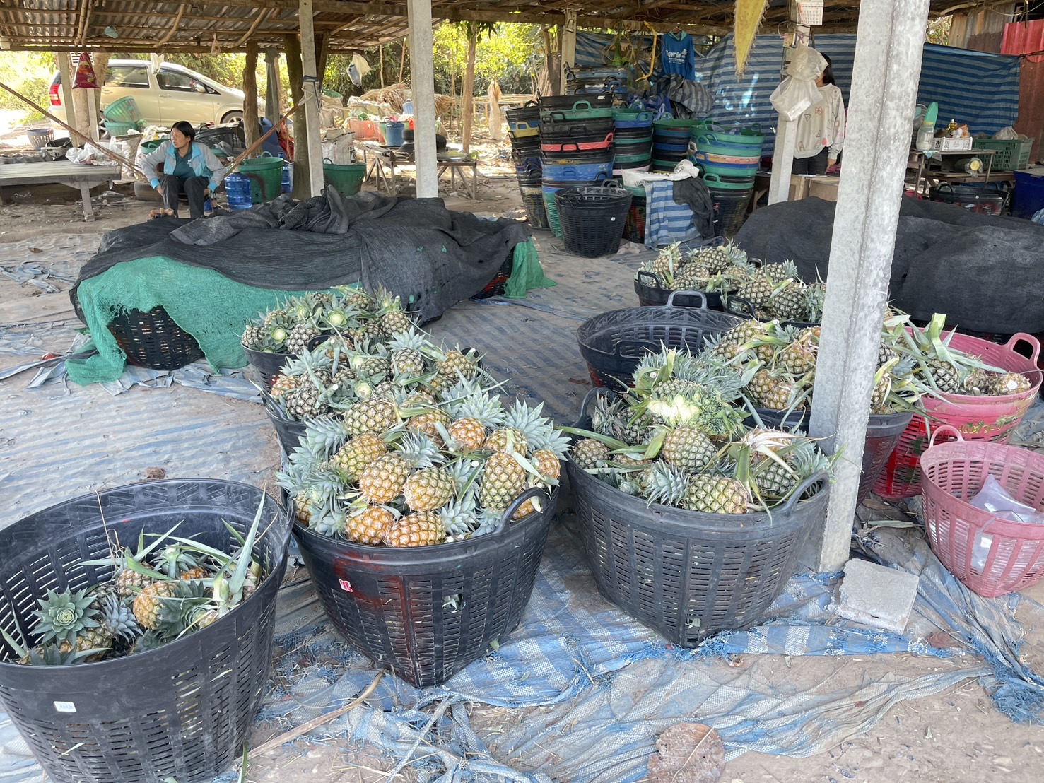 กองทุนฯ สตรี หนองคาย ลงพื้นที่ประเมินกลั่นกรองโครงการเงินทุนหมุนเวียน พื้นที่อำเภอสังคมและอำเภอศรีเชียงใหม่